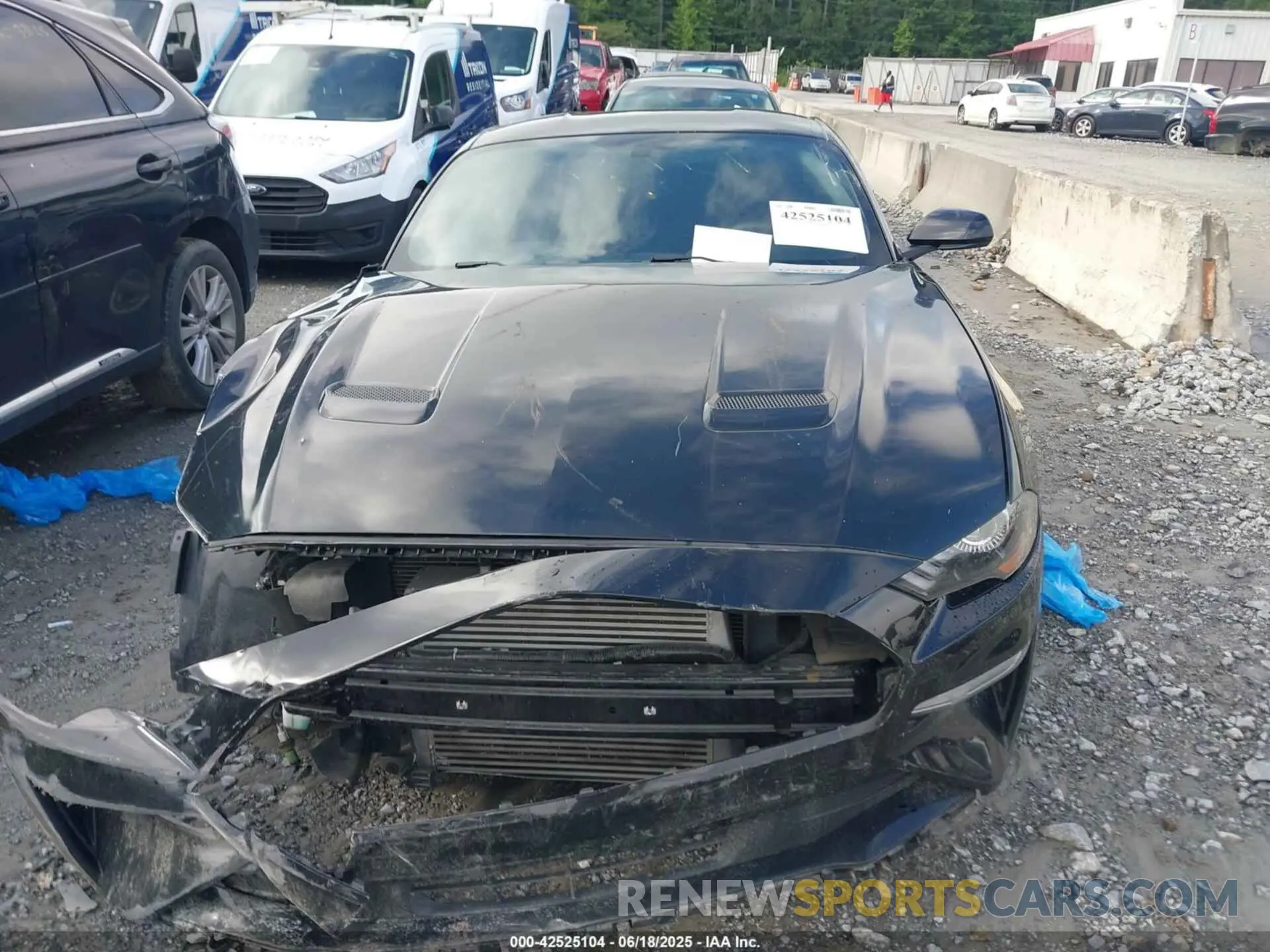 12 Photograph of a damaged car 1FA6P8TH8K5132182 FORD MUSTANG 2019