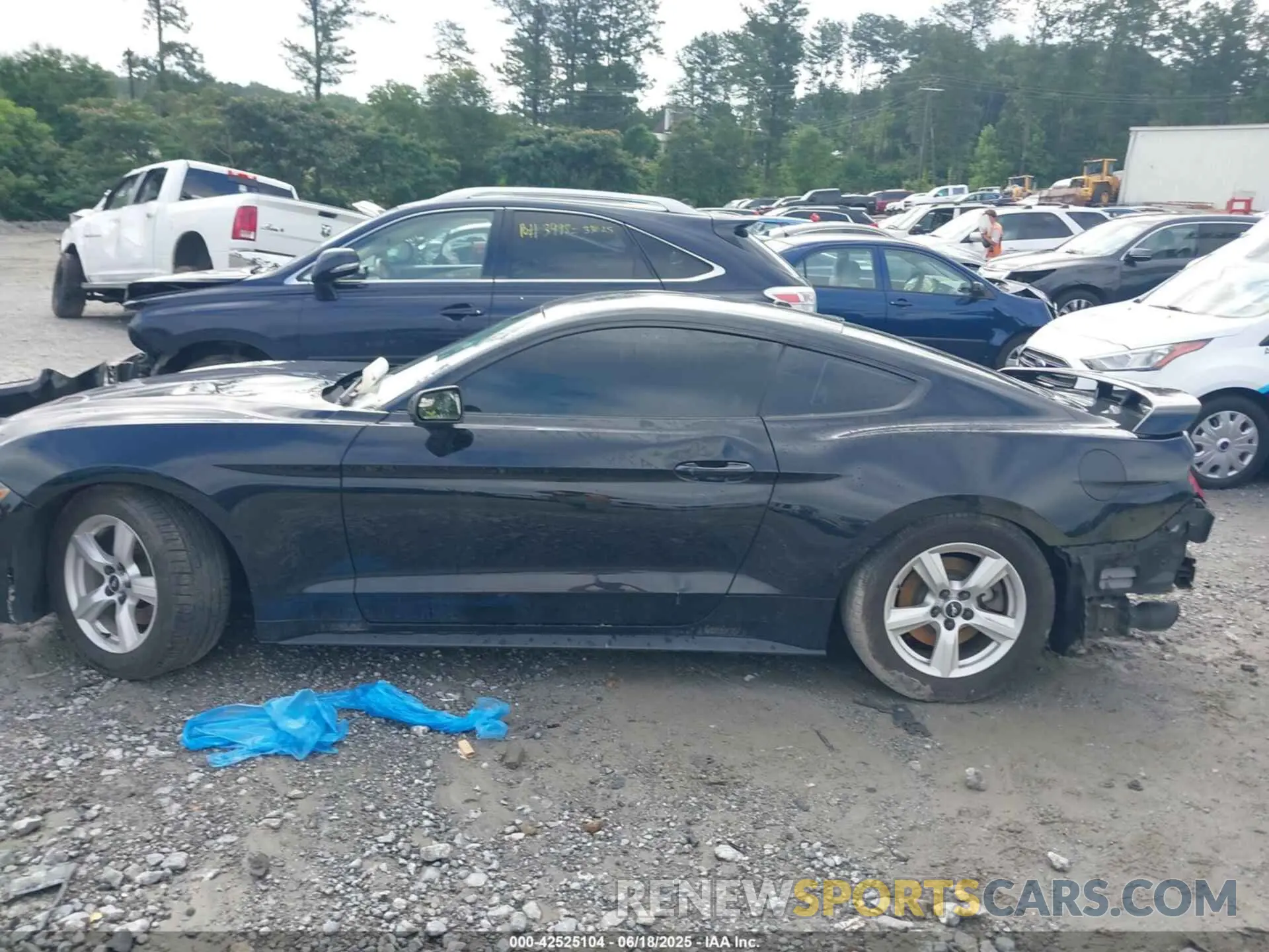 14 Photograph of a damaged car 1FA6P8TH8K5132182 FORD MUSTANG 2019