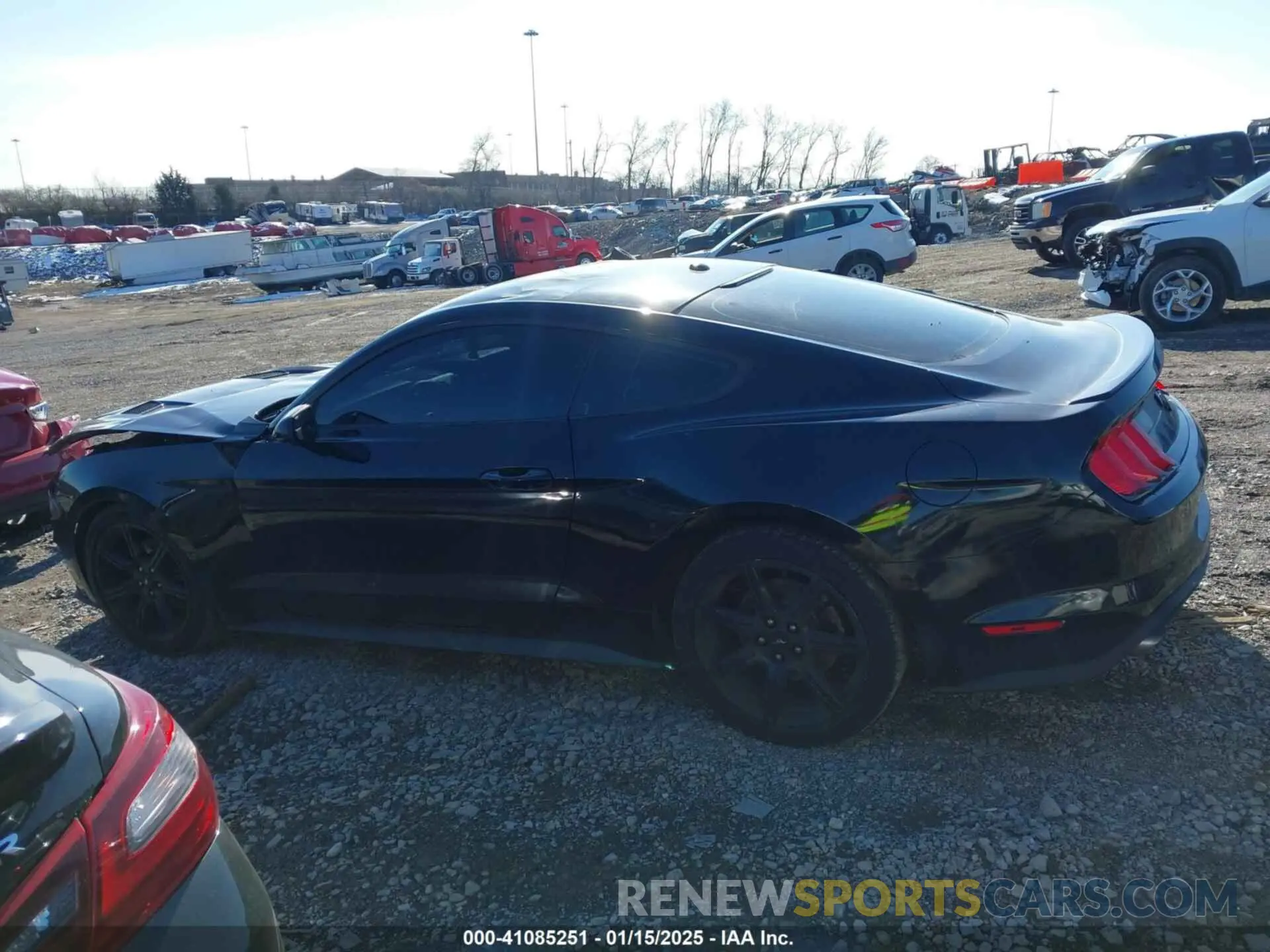 14 Фотография поврежденного автомобиля 1FA6P8TH8K5173458 FORD MUSTANG 2019