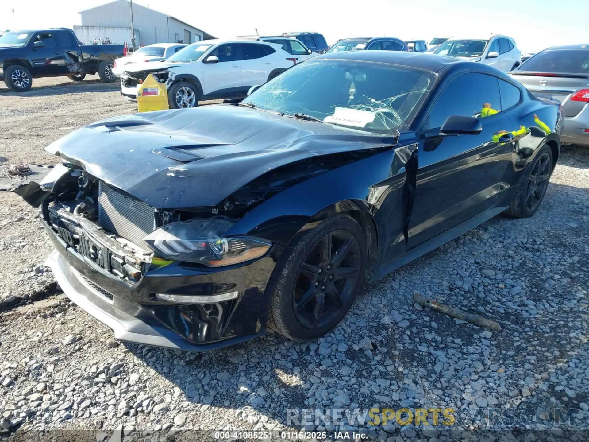 2 Фотография поврежденного автомобиля 1FA6P8TH8K5173458 FORD MUSTANG 2019