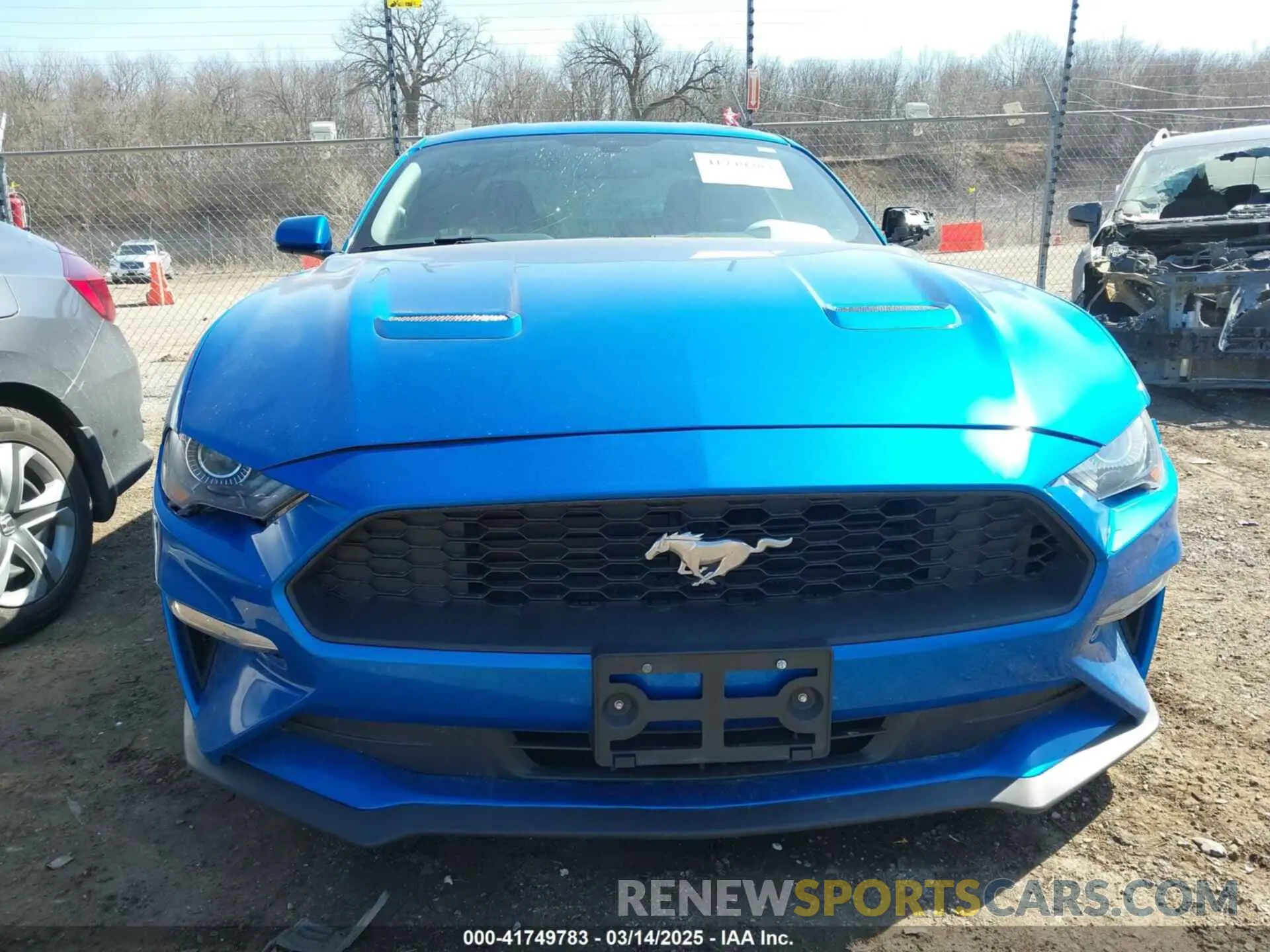 12 Photograph of a damaged car 1FA6P8TH8K5185206 FORD MUSTANG 2019