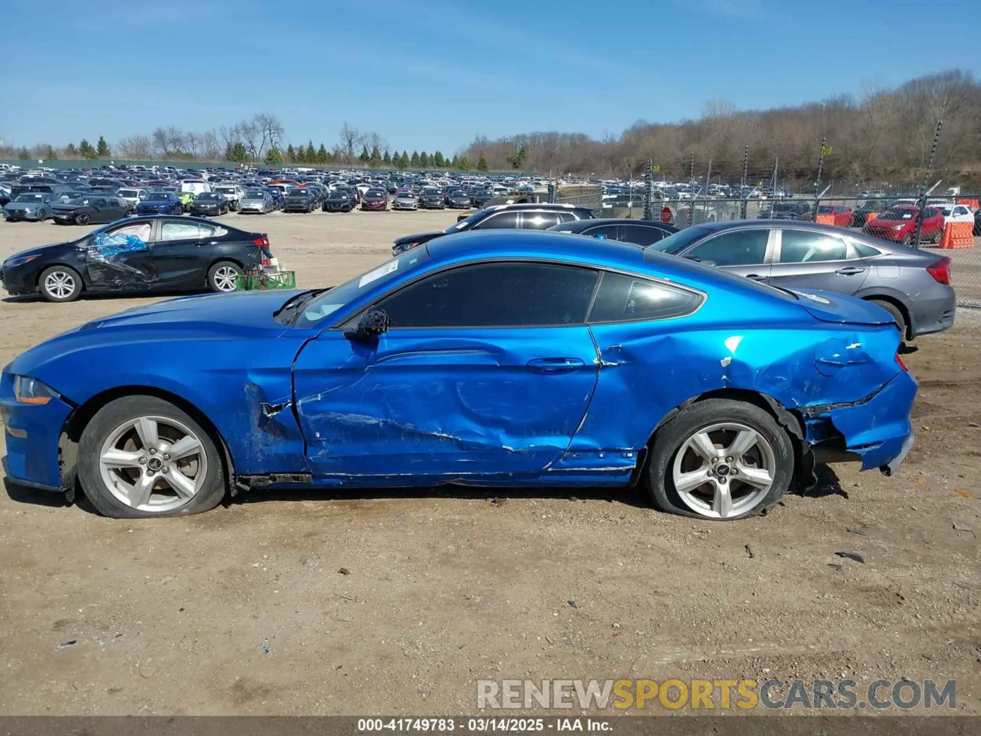 14 Photograph of a damaged car 1FA6P8TH8K5185206 FORD MUSTANG 2019