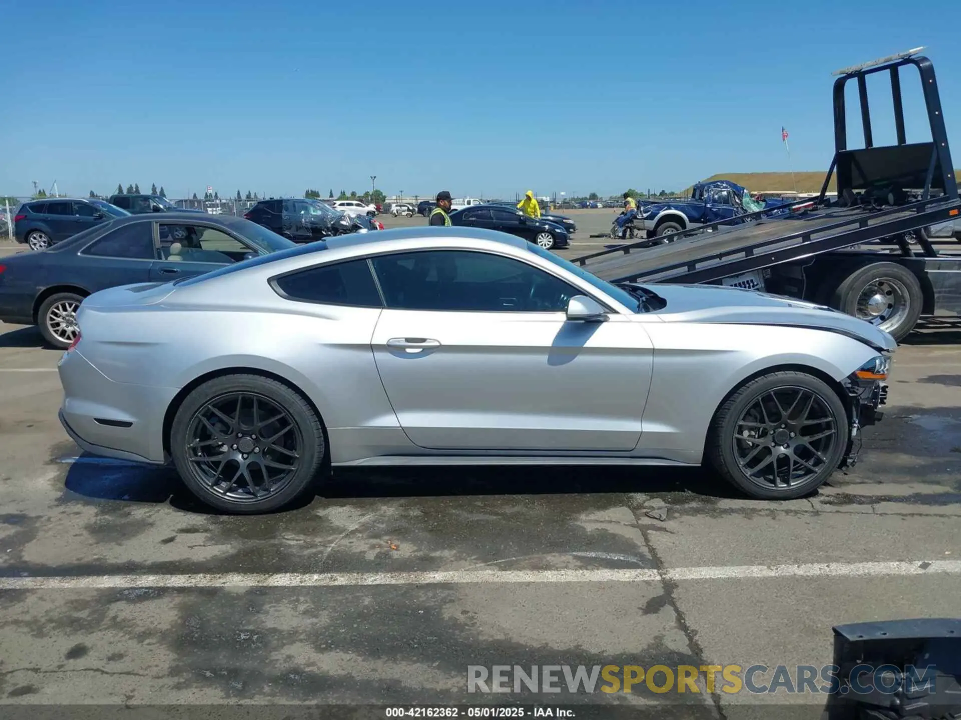 14 Photograph of a damaged car 1FA6P8TH8K5194620 FORD MUSTANG 2019