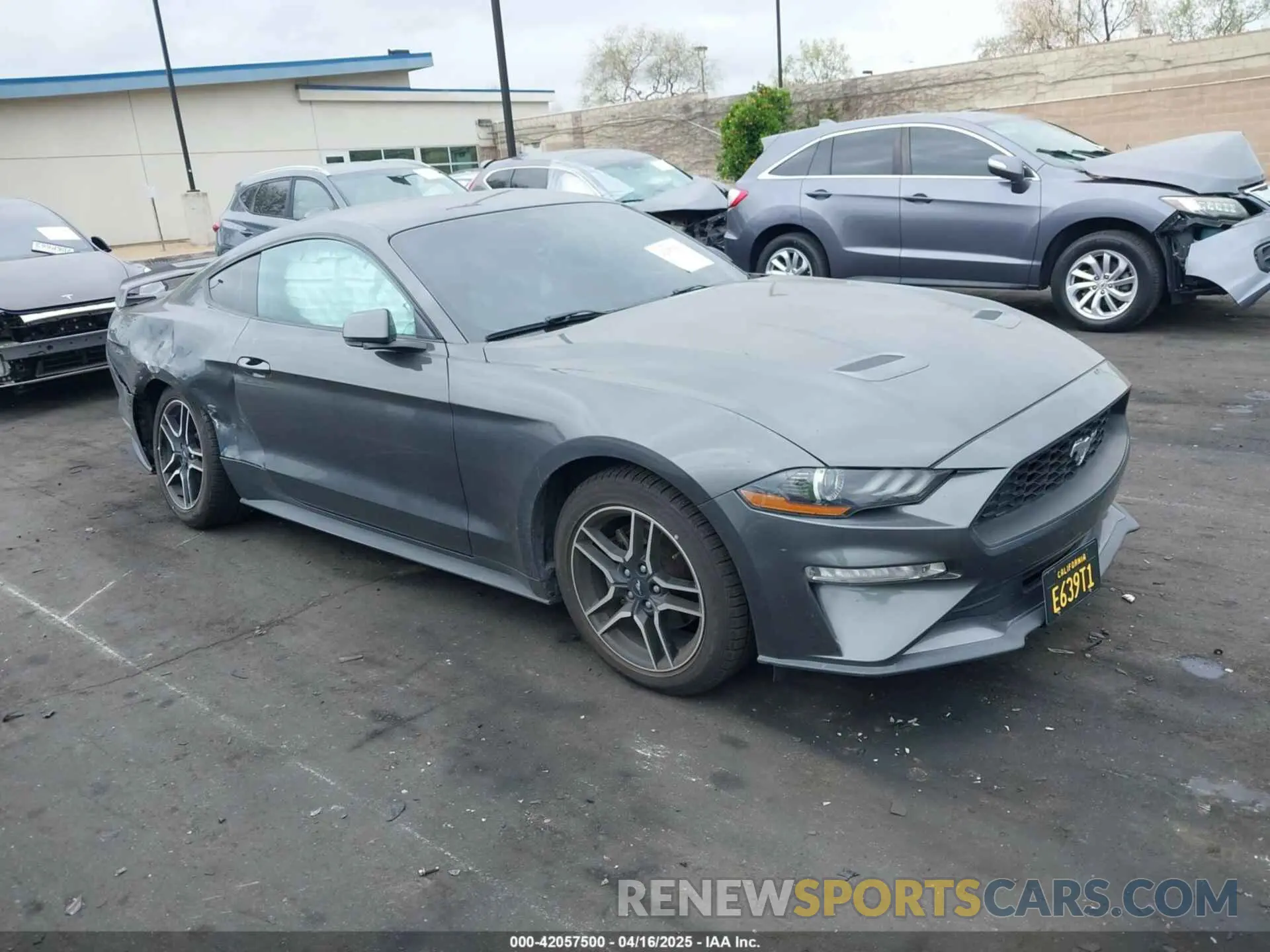 1 Фотография поврежденного автомобиля 1FA6P8TH8K5197825 FORD MUSTANG 2019