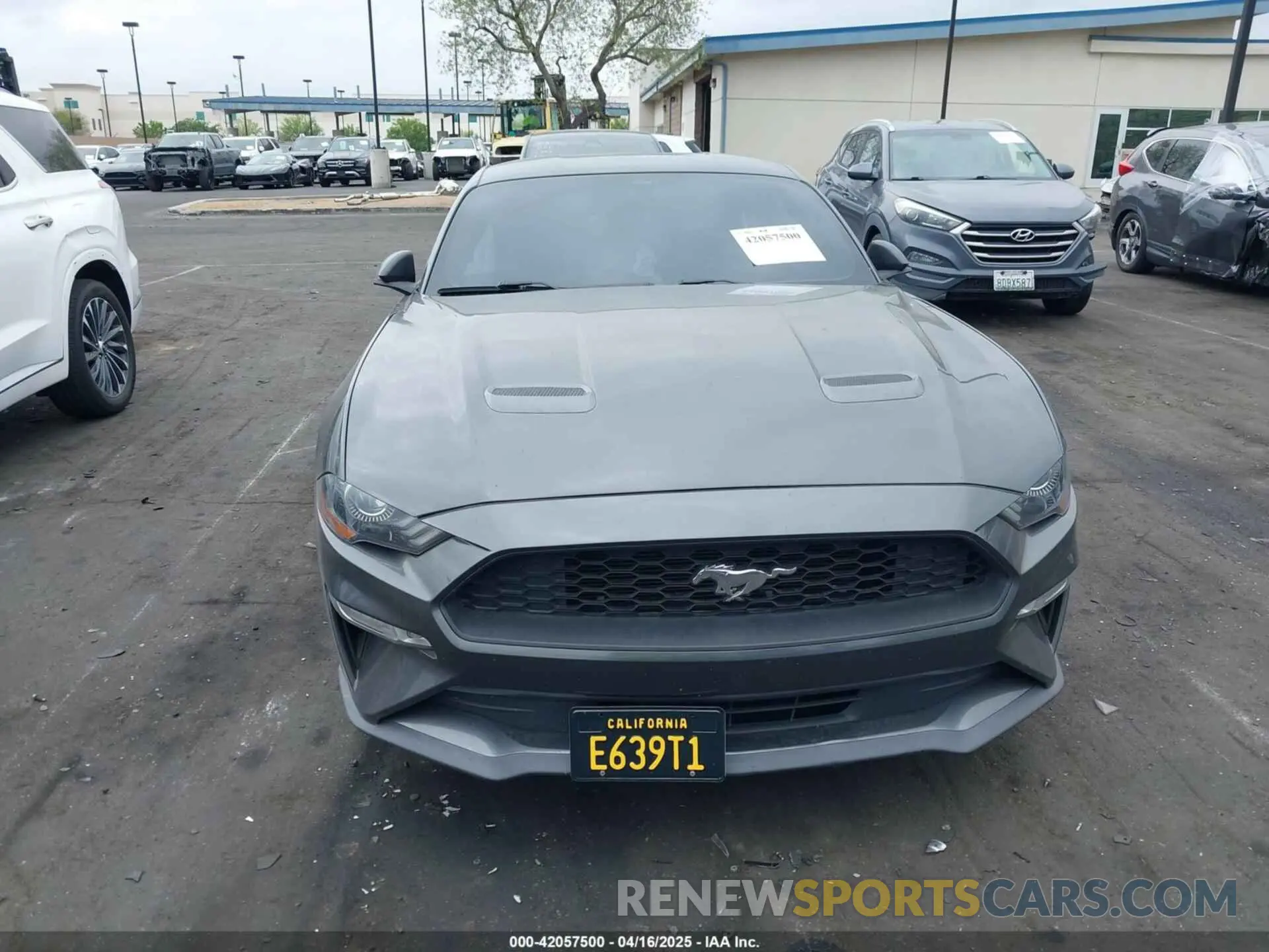 13 Фотография поврежденного автомобиля 1FA6P8TH8K5197825 FORD MUSTANG 2019