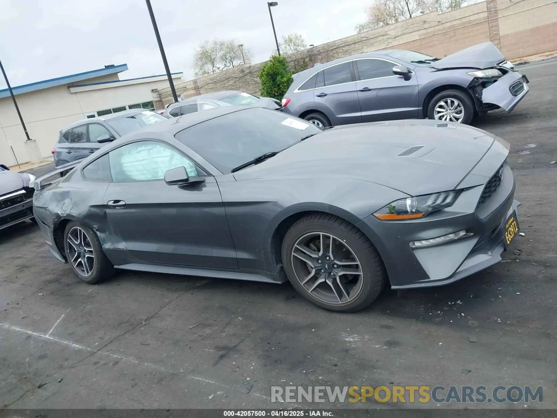 14 Фотография поврежденного автомобиля 1FA6P8TH8K5197825 FORD MUSTANG 2019