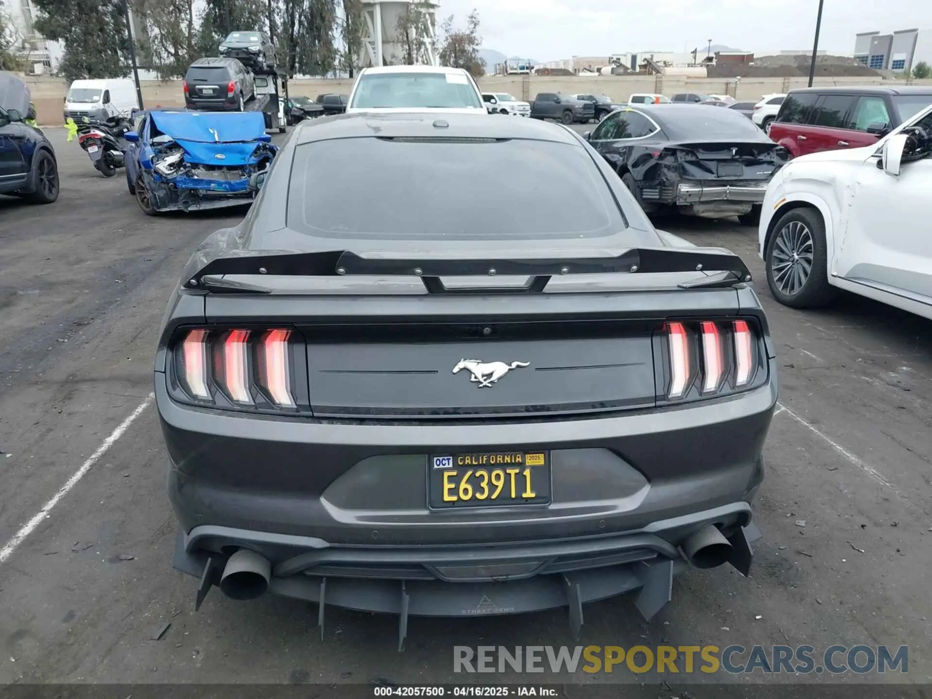 17 Фотография поврежденного автомобиля 1FA6P8TH8K5197825 FORD MUSTANG 2019