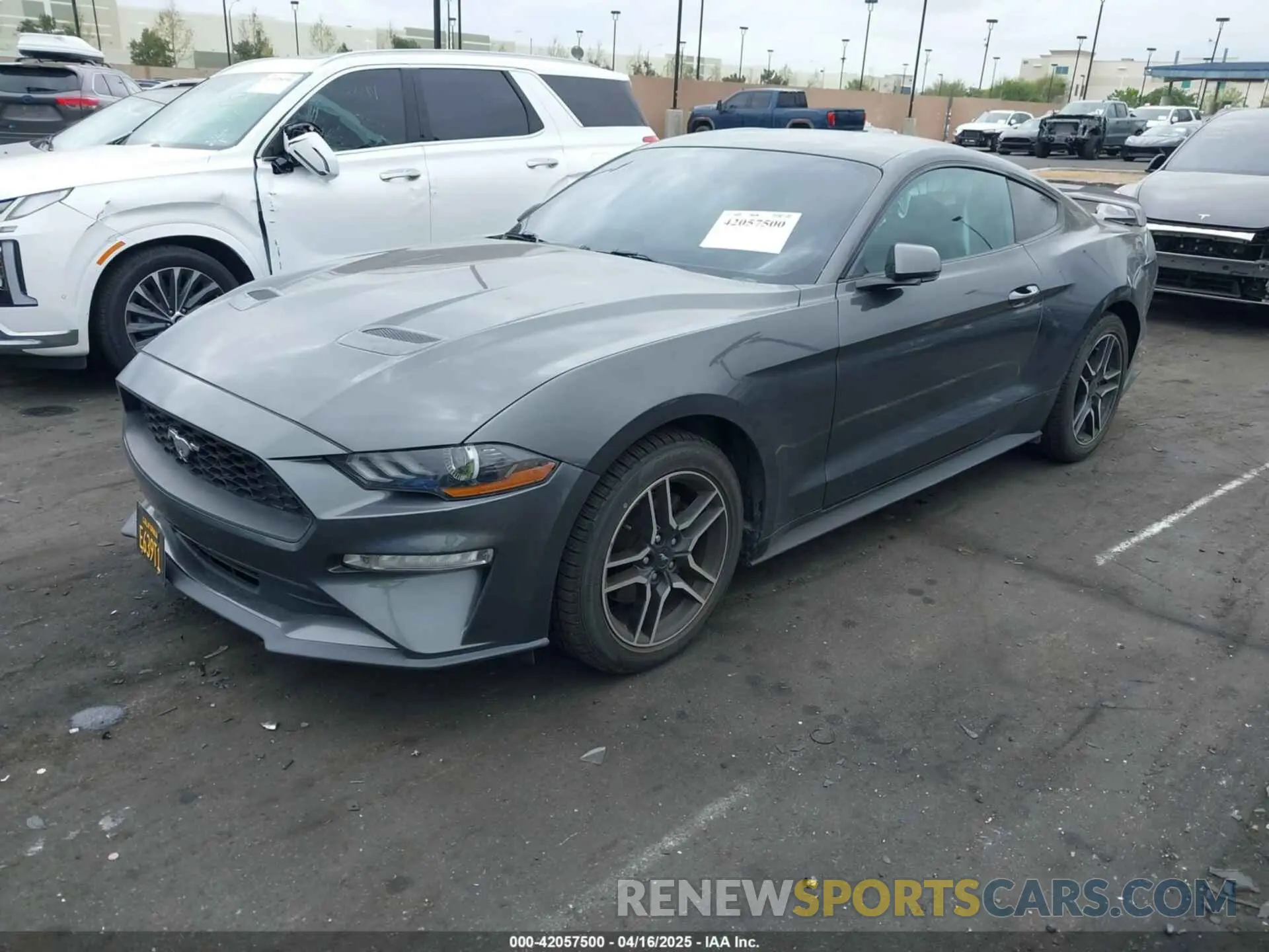 2 Фотография поврежденного автомобиля 1FA6P8TH8K5197825 FORD MUSTANG 2019
