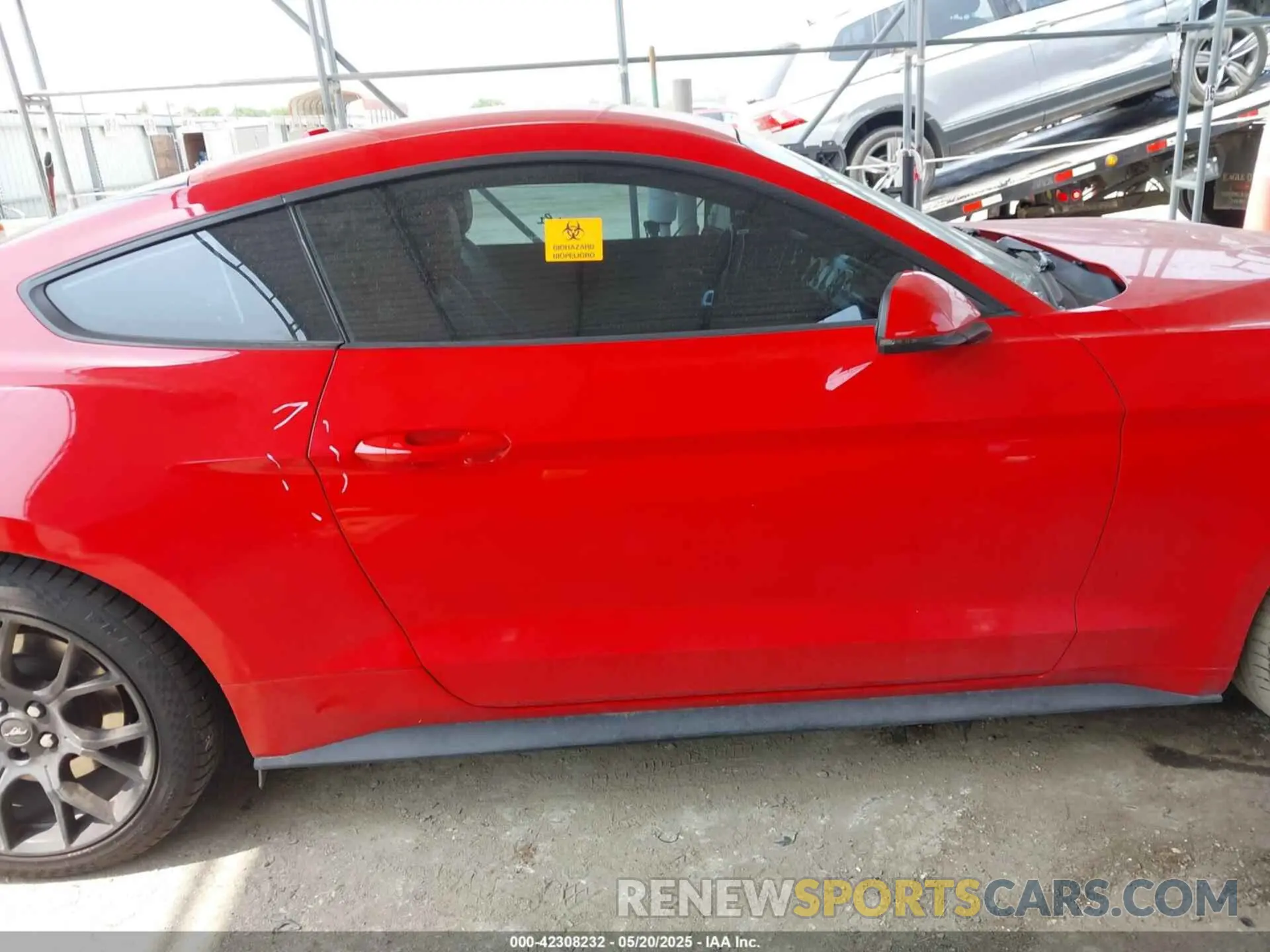 14 Photograph of a damaged car 1FA6P8TH9K5134989 FORD MUSTANG 2019