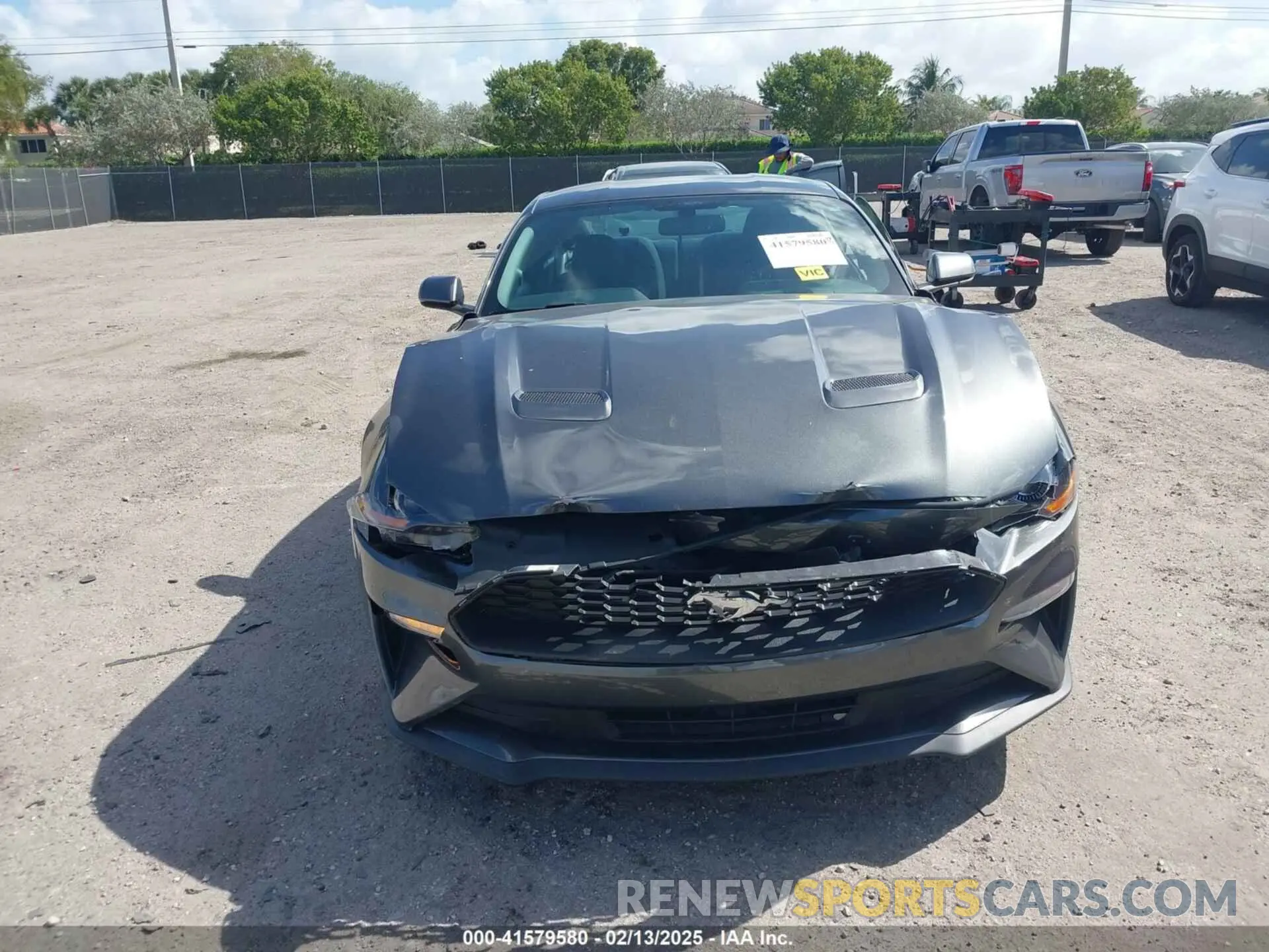 12 Фотография поврежденного автомобиля 1FA6P8TH9K5176353 FORD MUSTANG 2019