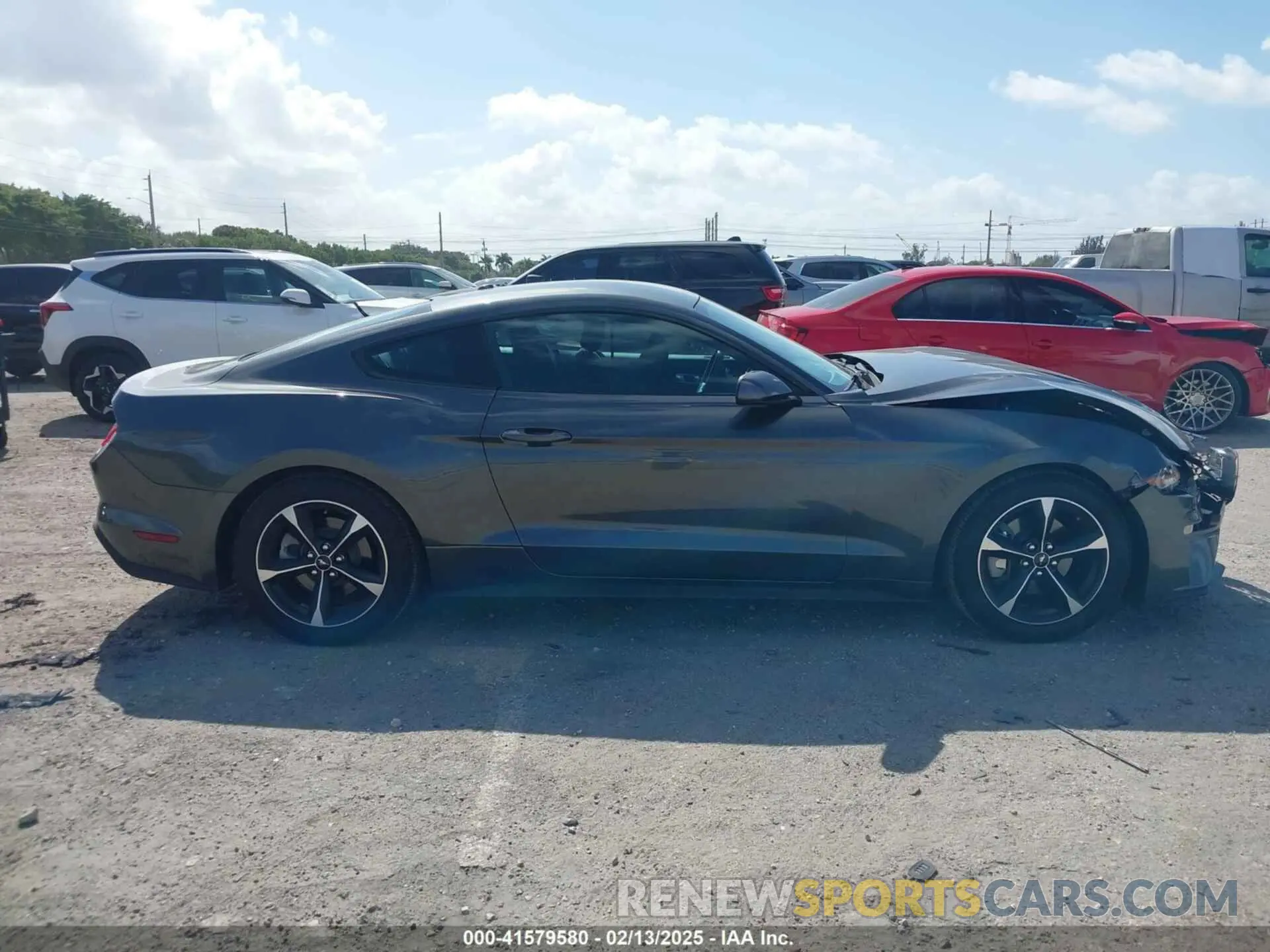 13 Фотография поврежденного автомобиля 1FA6P8TH9K5176353 FORD MUSTANG 2019