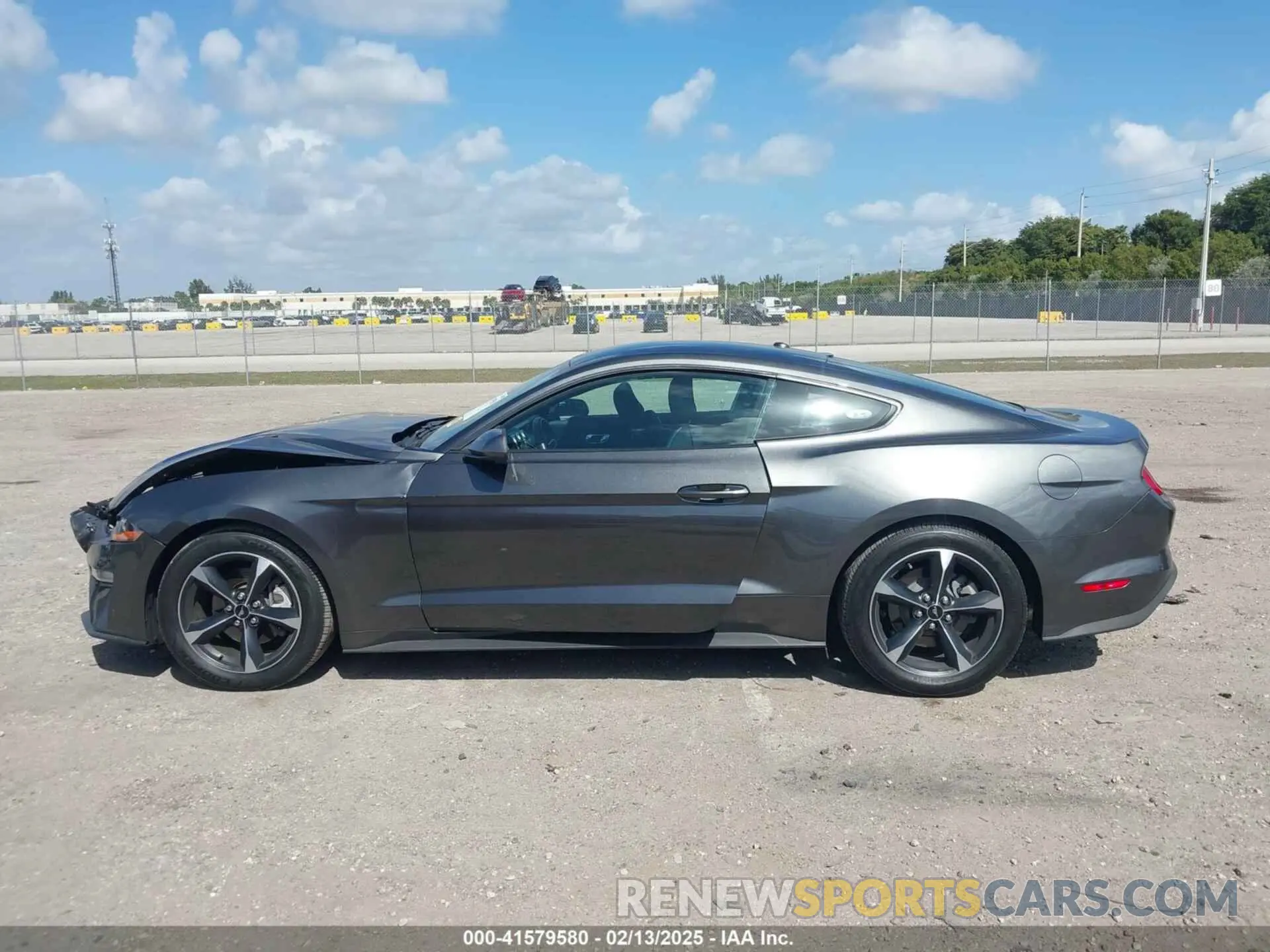 14 Фотография поврежденного автомобиля 1FA6P8TH9K5176353 FORD MUSTANG 2019