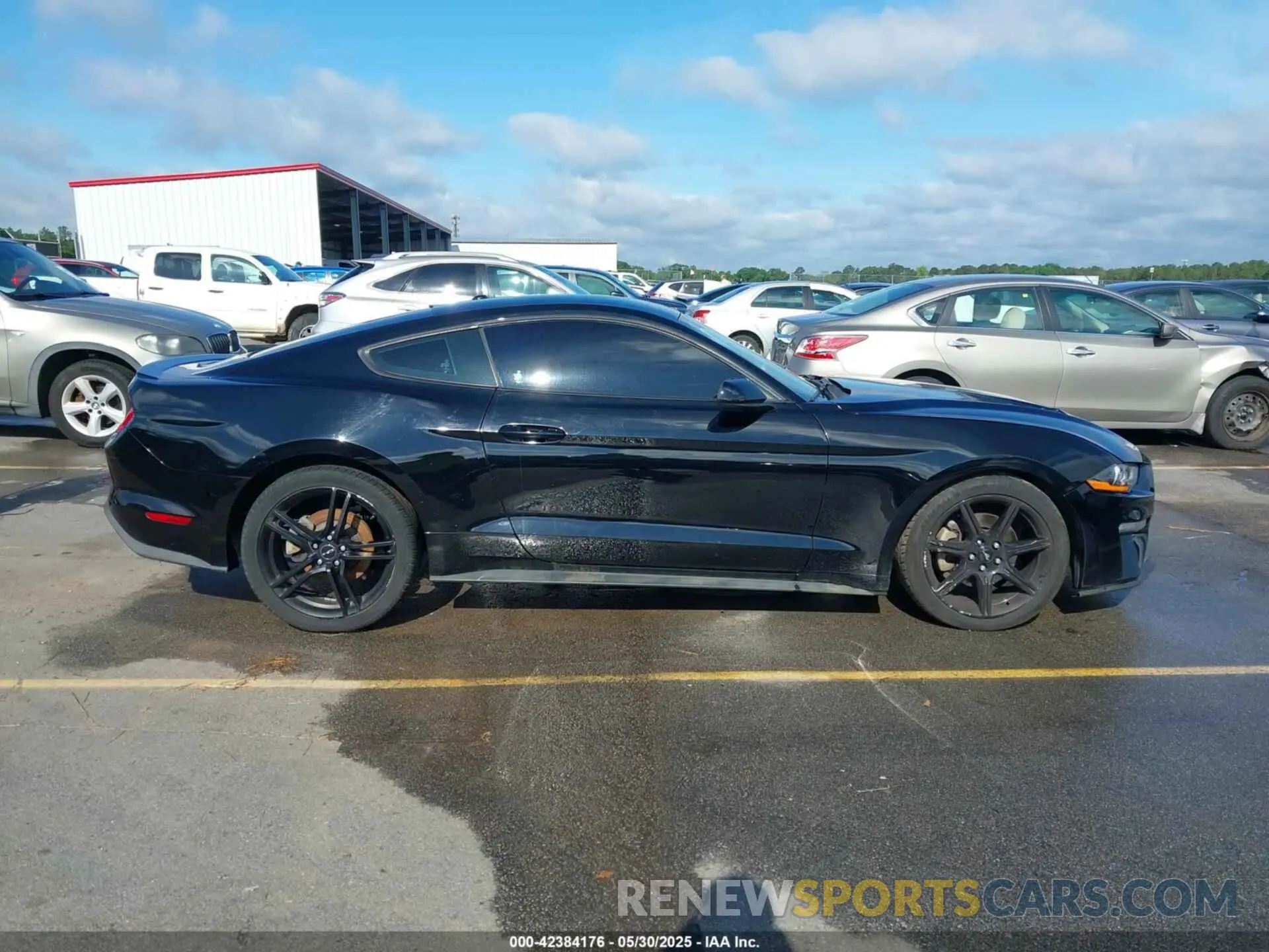 13 Photograph of a damaged car 1FA6P8THXK5124729 FORD MUSTANG 2019