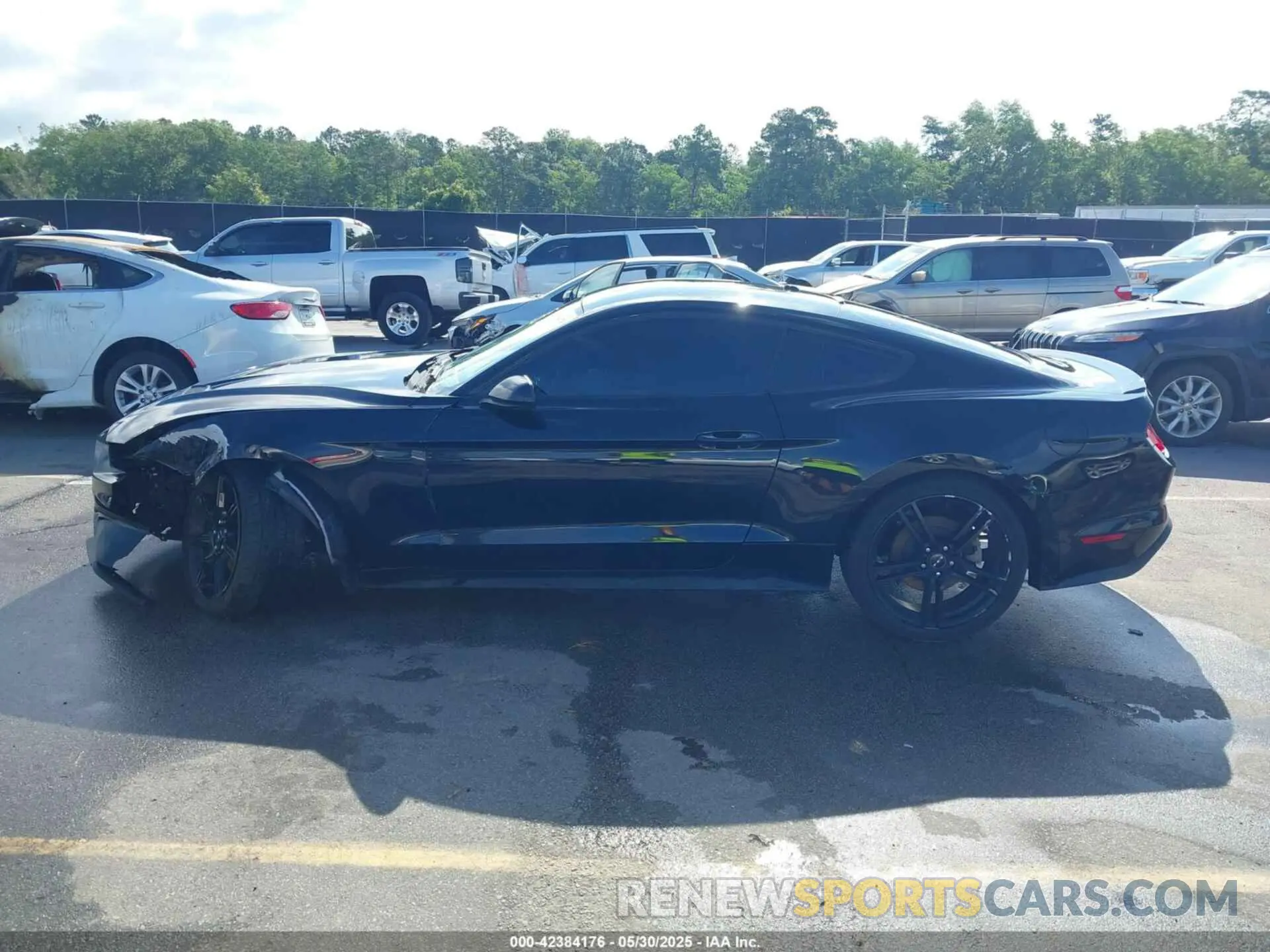 14 Photograph of a damaged car 1FA6P8THXK5124729 FORD MUSTANG 2019