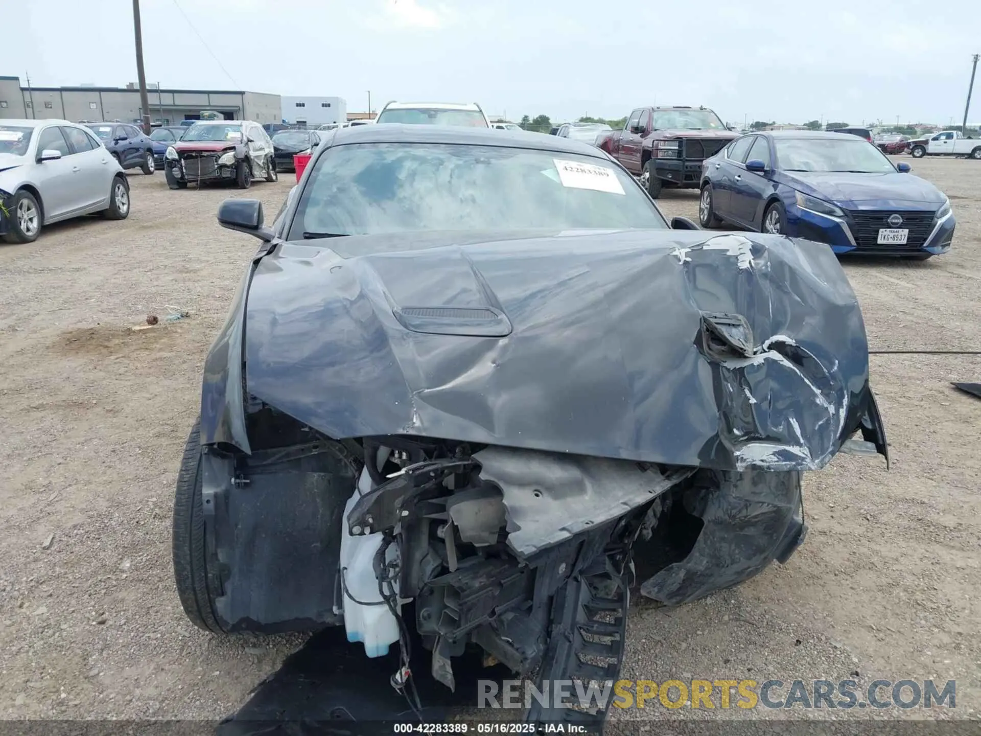 12 Фотография поврежденного автомобиля 1FA6P8THXK5125833 FORD MUSTANG 2019