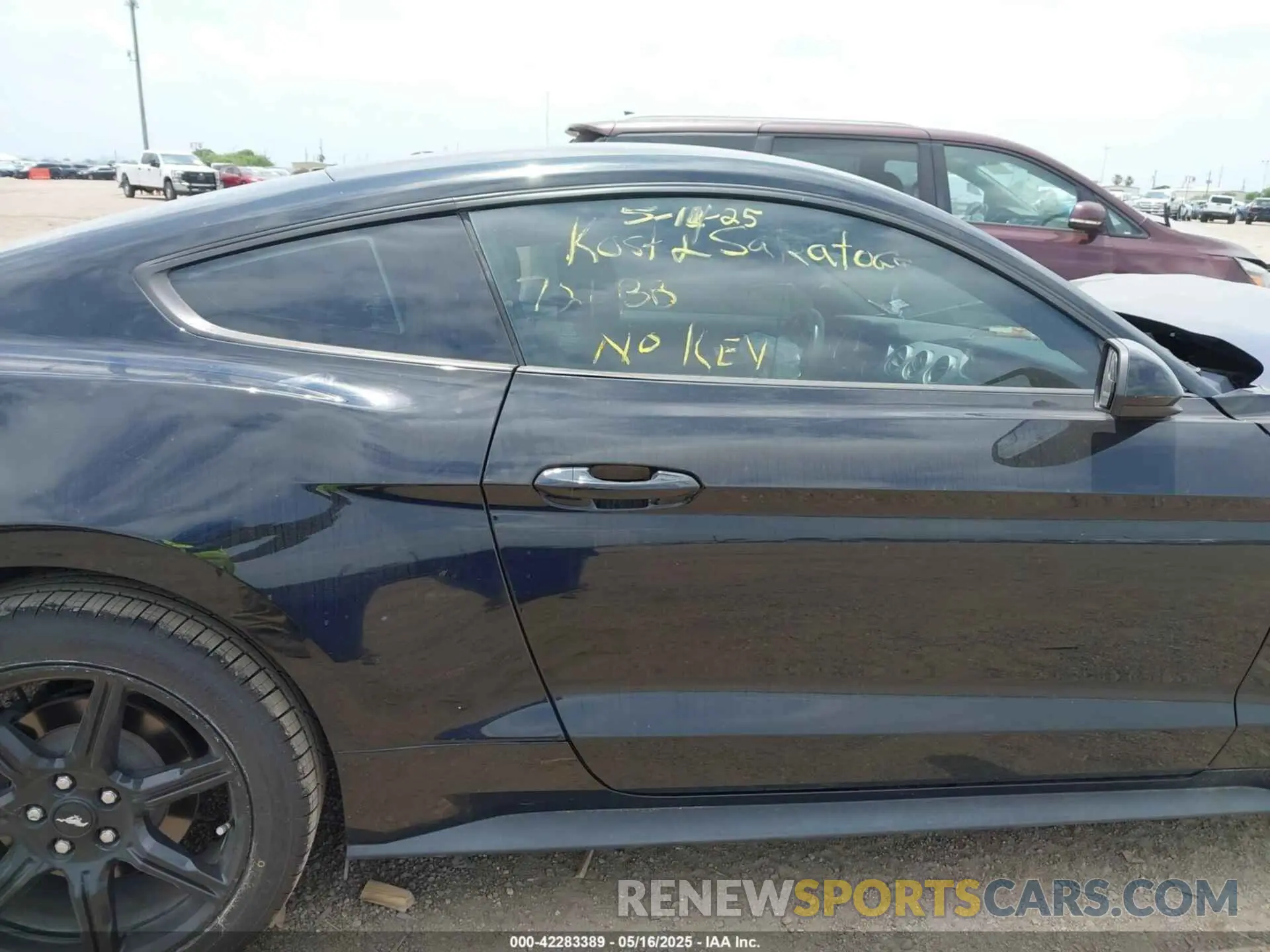 13 Фотография поврежденного автомобиля 1FA6P8THXK5125833 FORD MUSTANG 2019