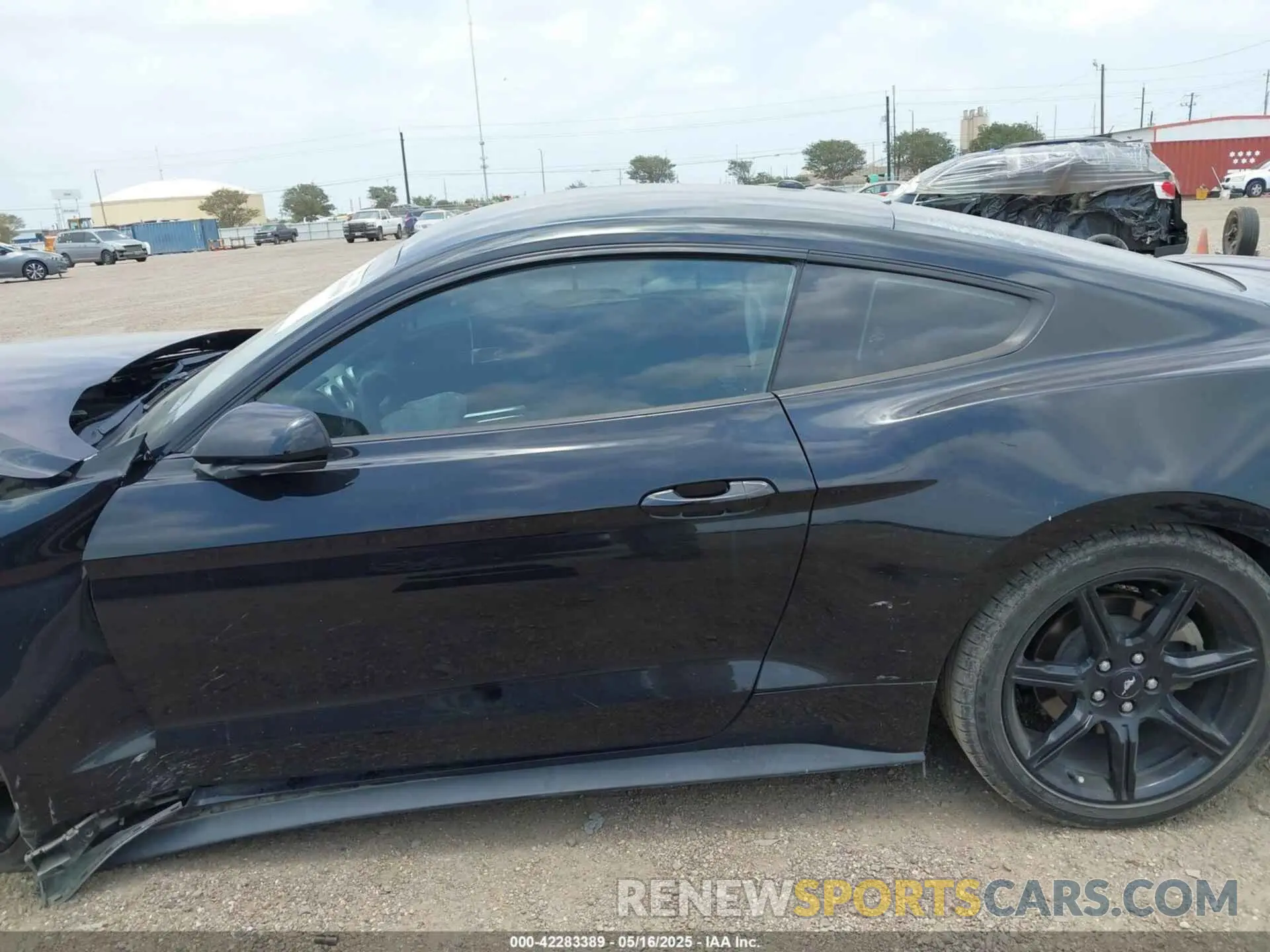14 Фотография поврежденного автомобиля 1FA6P8THXK5125833 FORD MUSTANG 2019