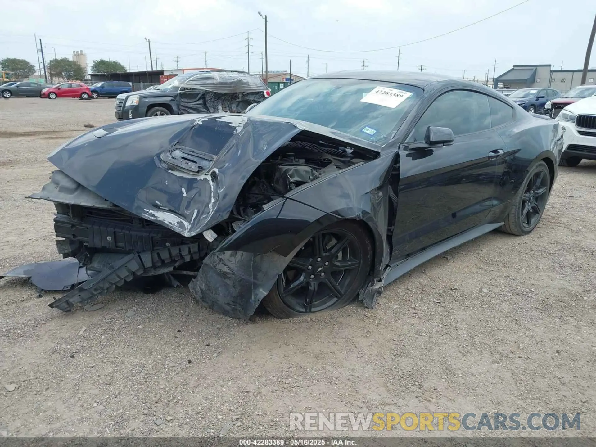 2 Фотография поврежденного автомобиля 1FA6P8THXK5125833 FORD MUSTANG 2019