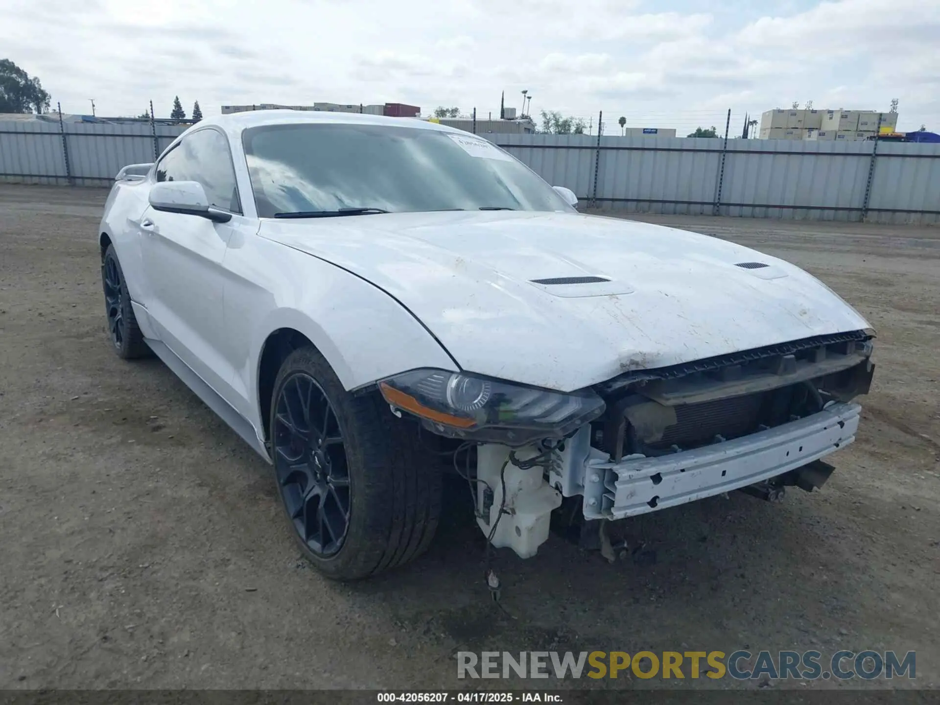 1 Photograph of a damaged car 1FA6P8THXK5143703 FORD MUSTANG 2019