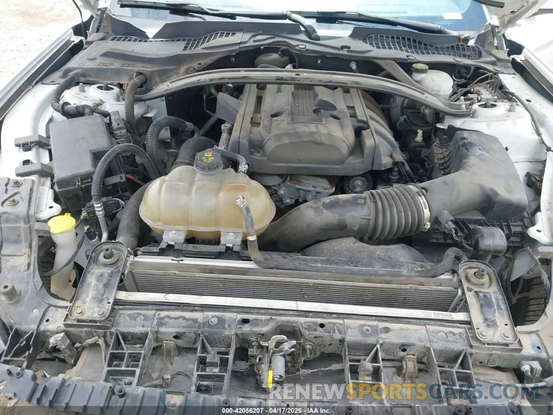 10 Photograph of a damaged car 1FA6P8THXK5143703 FORD MUSTANG 2019