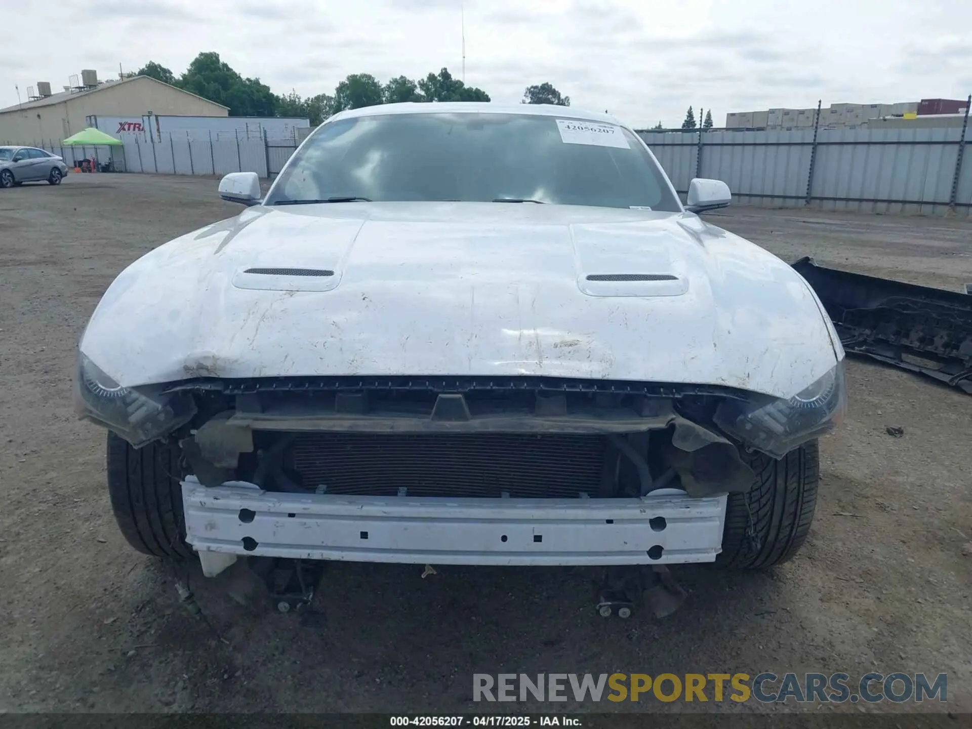 13 Photograph of a damaged car 1FA6P8THXK5143703 FORD MUSTANG 2019