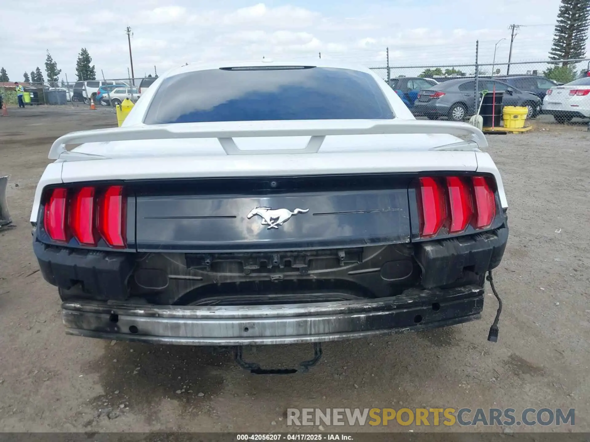 17 Photograph of a damaged car 1FA6P8THXK5143703 FORD MUSTANG 2019