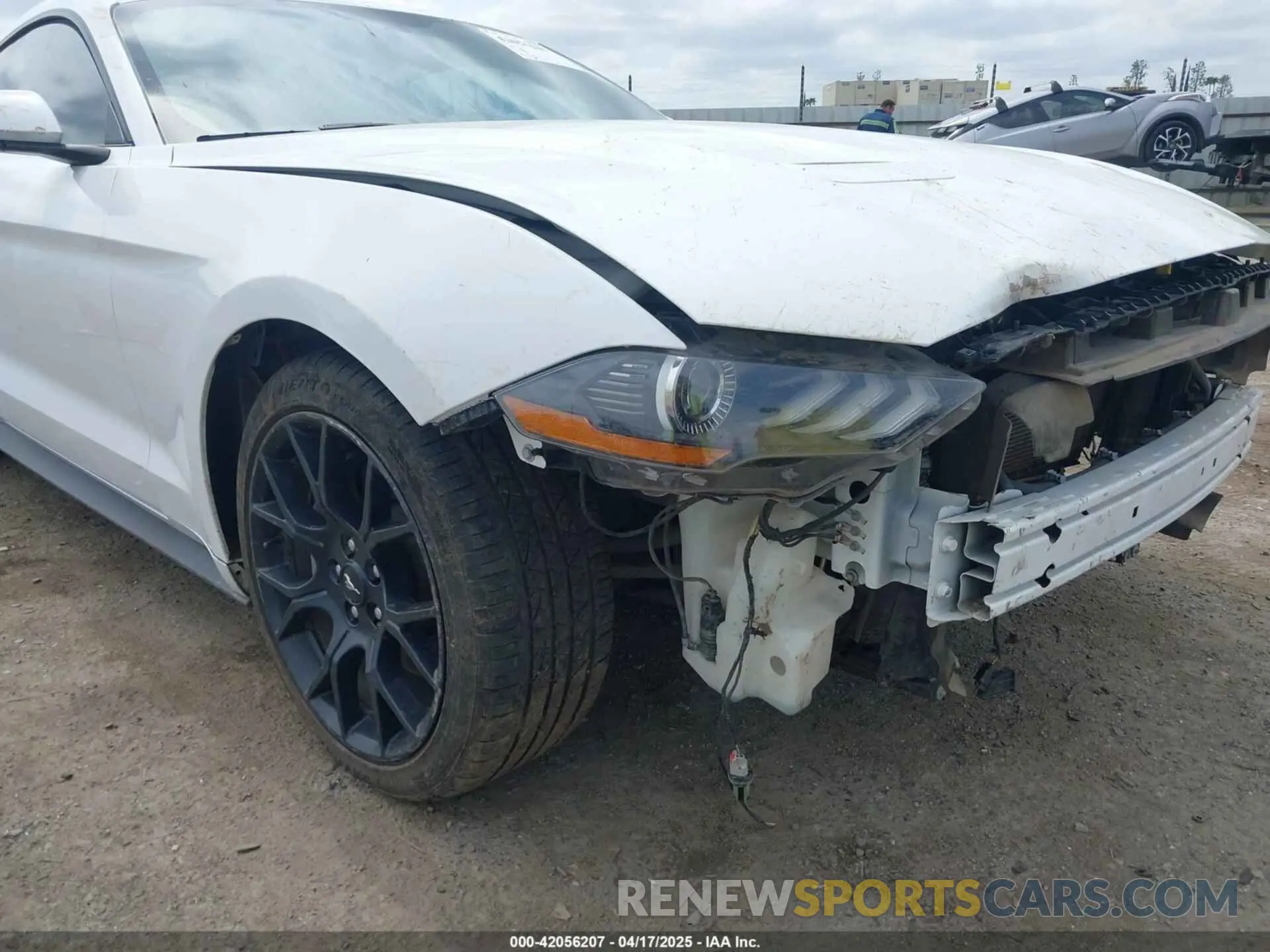 18 Photograph of a damaged car 1FA6P8THXK5143703 FORD MUSTANG 2019