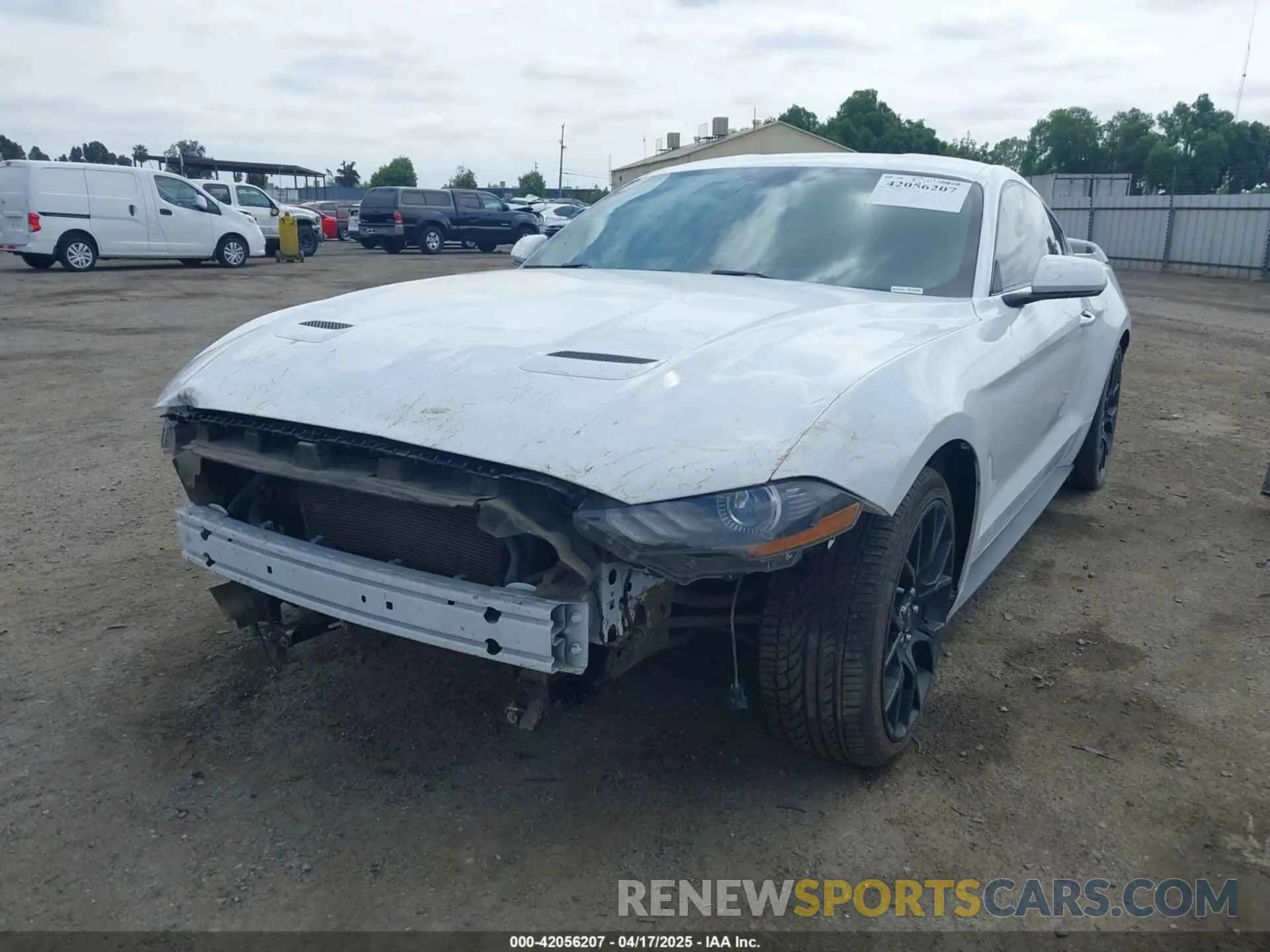 2 Photograph of a damaged car 1FA6P8THXK5143703 FORD MUSTANG 2019