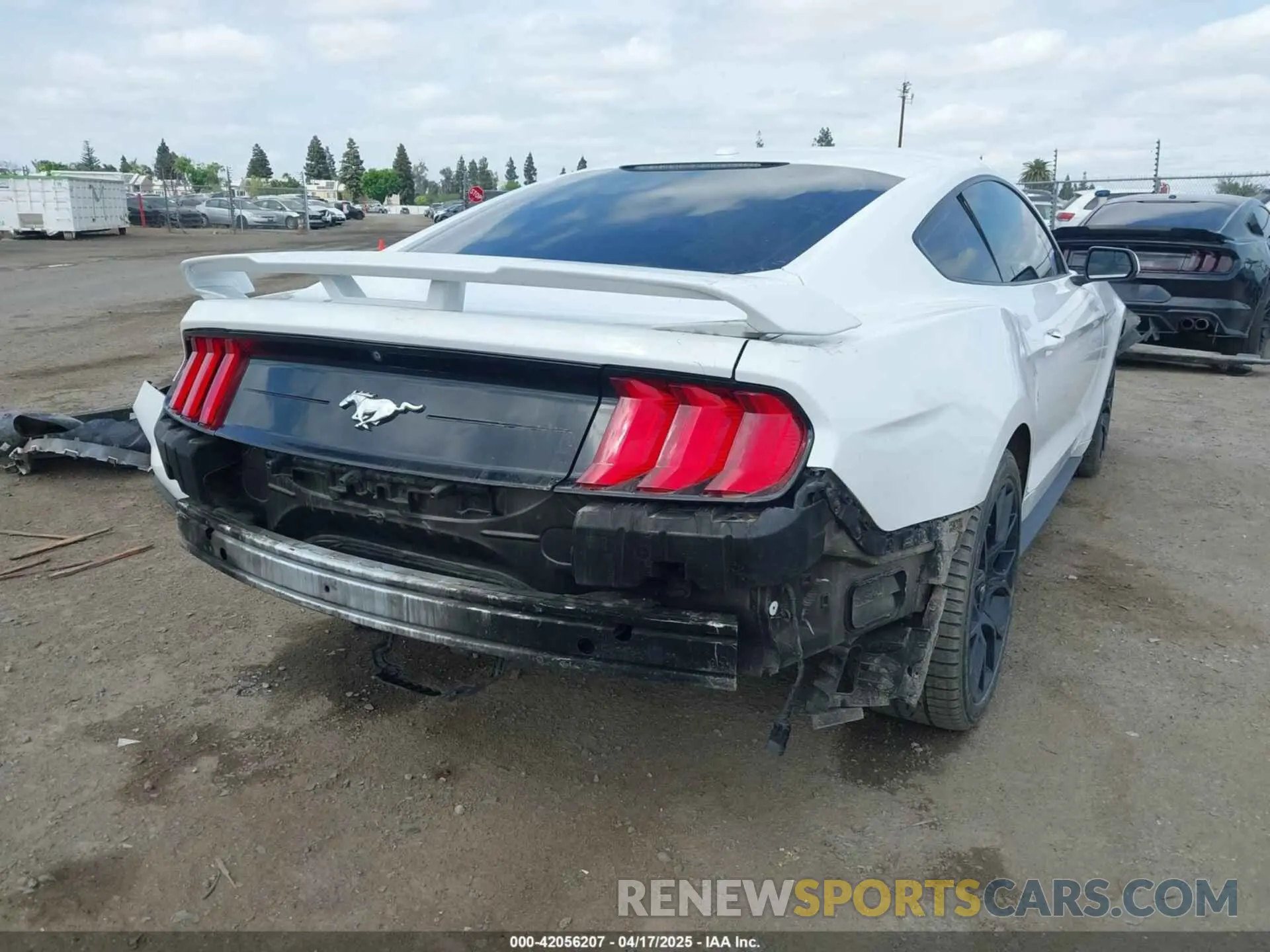 4 Photograph of a damaged car 1FA6P8THXK5143703 FORD MUSTANG 2019