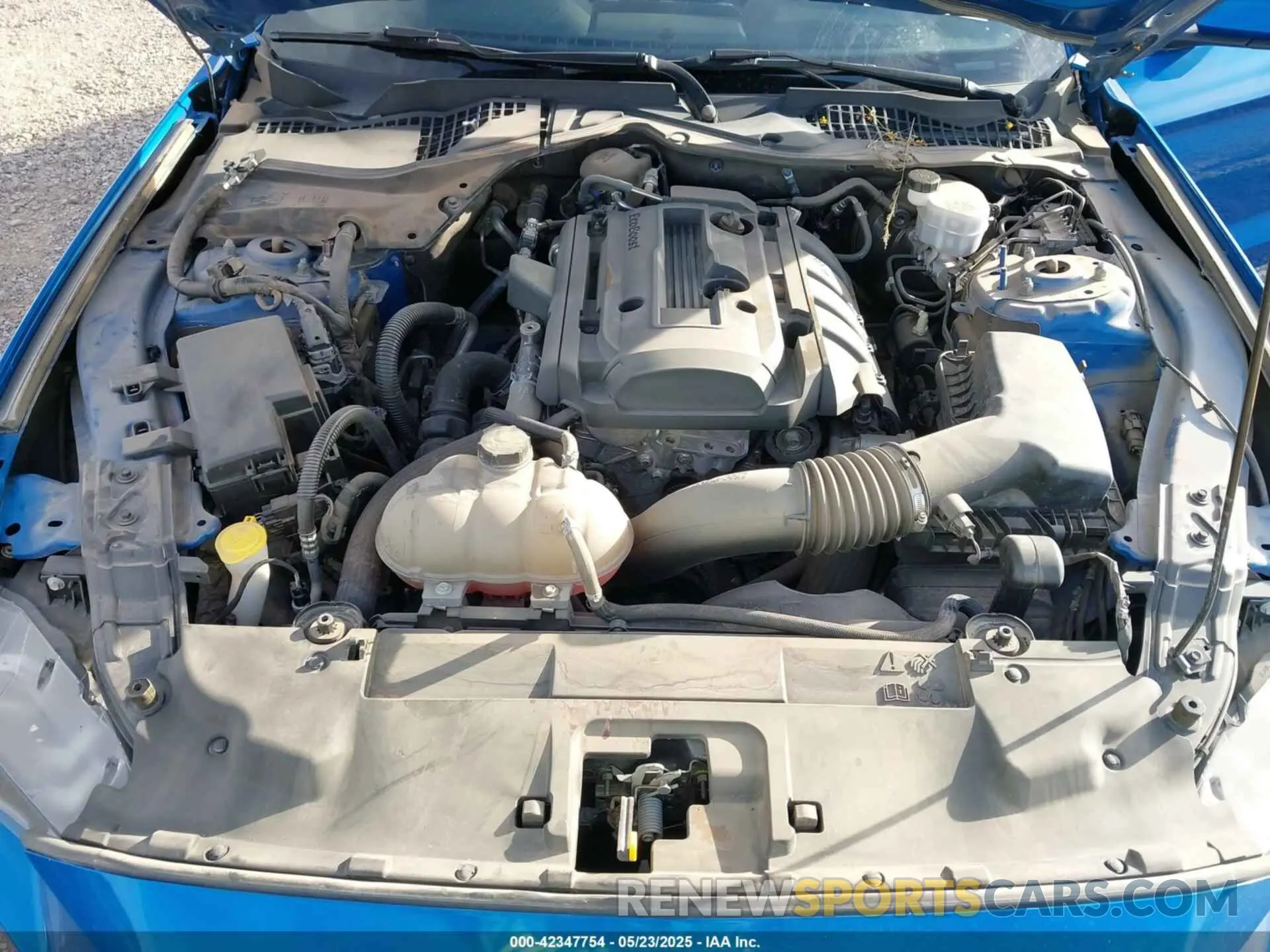 10 Фотография поврежденного автомобиля 1FA6P8THXK5185806 FORD MUSTANG 2019