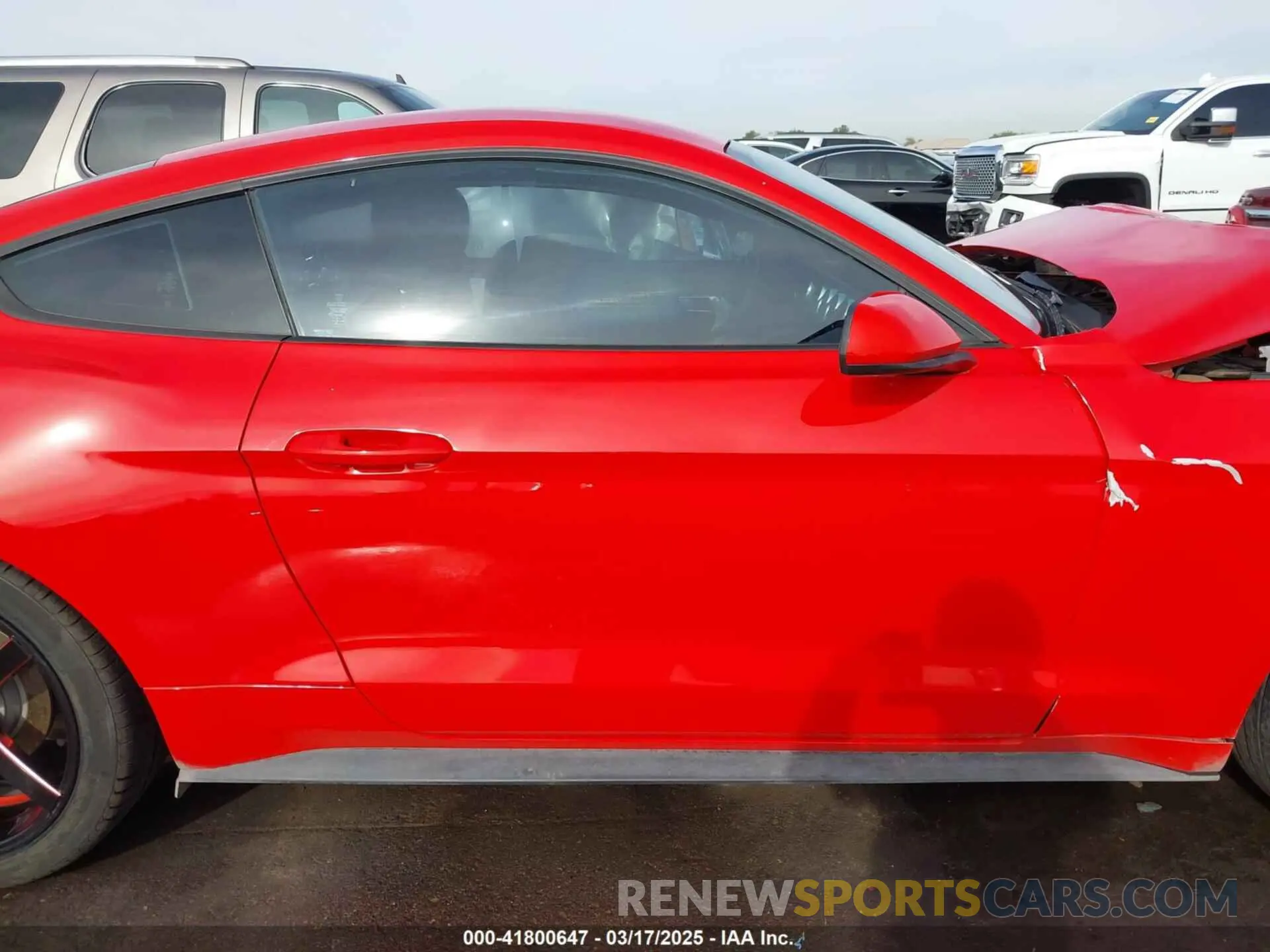 13 Photograph of a damaged car 1FA6P8THXK5196692 FORD MUSTANG 2019