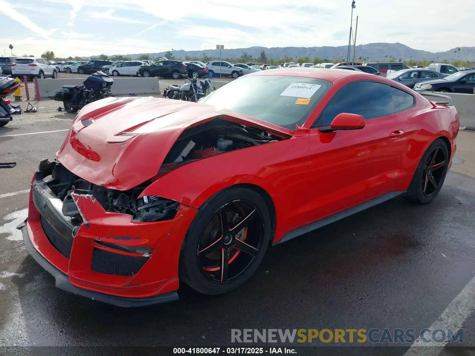 2 Photograph of a damaged car 1FA6P8THXK5196692 FORD MUSTANG 2019