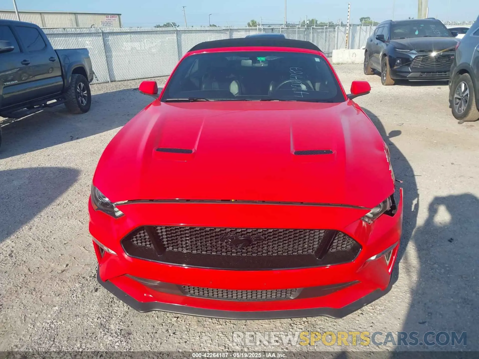 12 Photograph of a damaged car 1FATP8FF8K5196252 FORD MUSTANG 2019