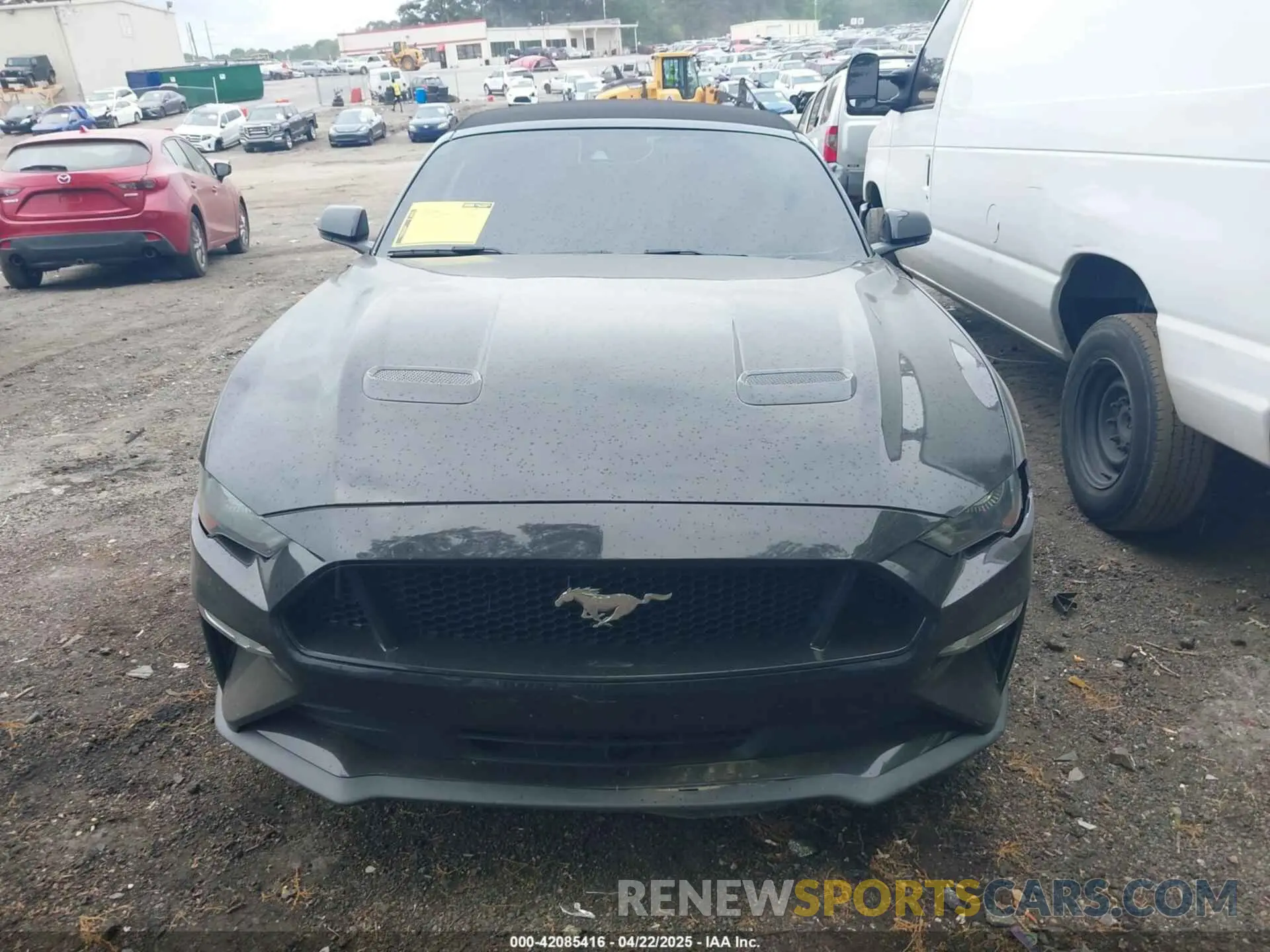 12 Photograph of a damaged car 1FATP8FF8K5202115 FORD MUSTANG 2019