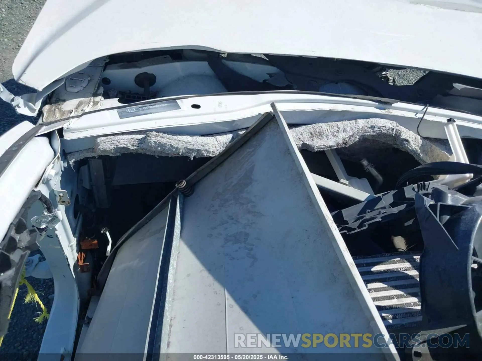 14 Photograph of a damaged car 1FATP8UH4K5109225 FORD MUSTANG 2019