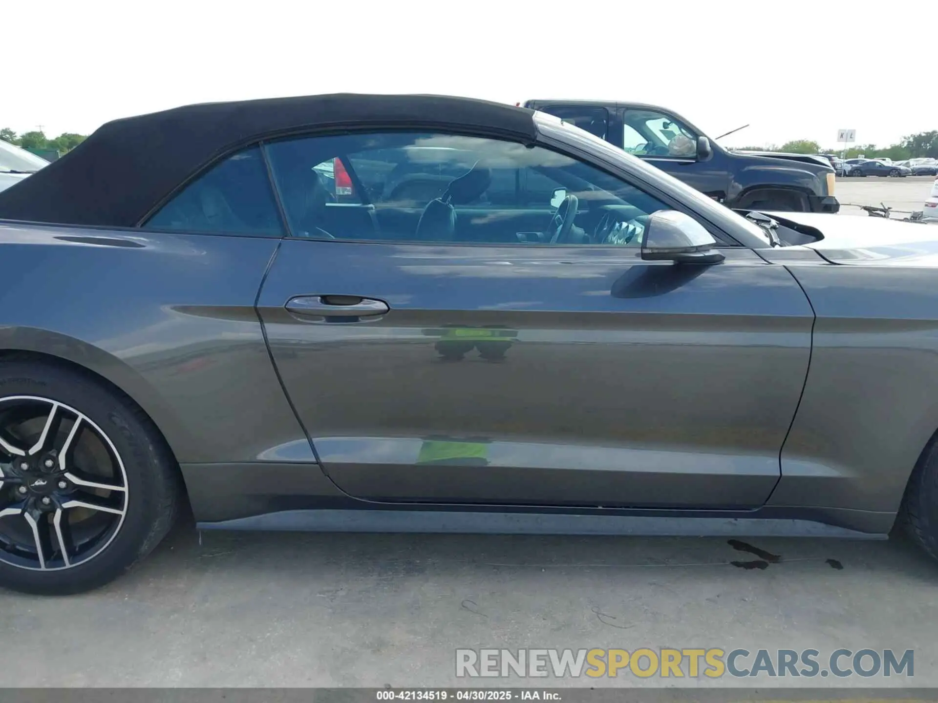 13 Photograph of a damaged car 1FATP8UH4K5161454 FORD MUSTANG 2019