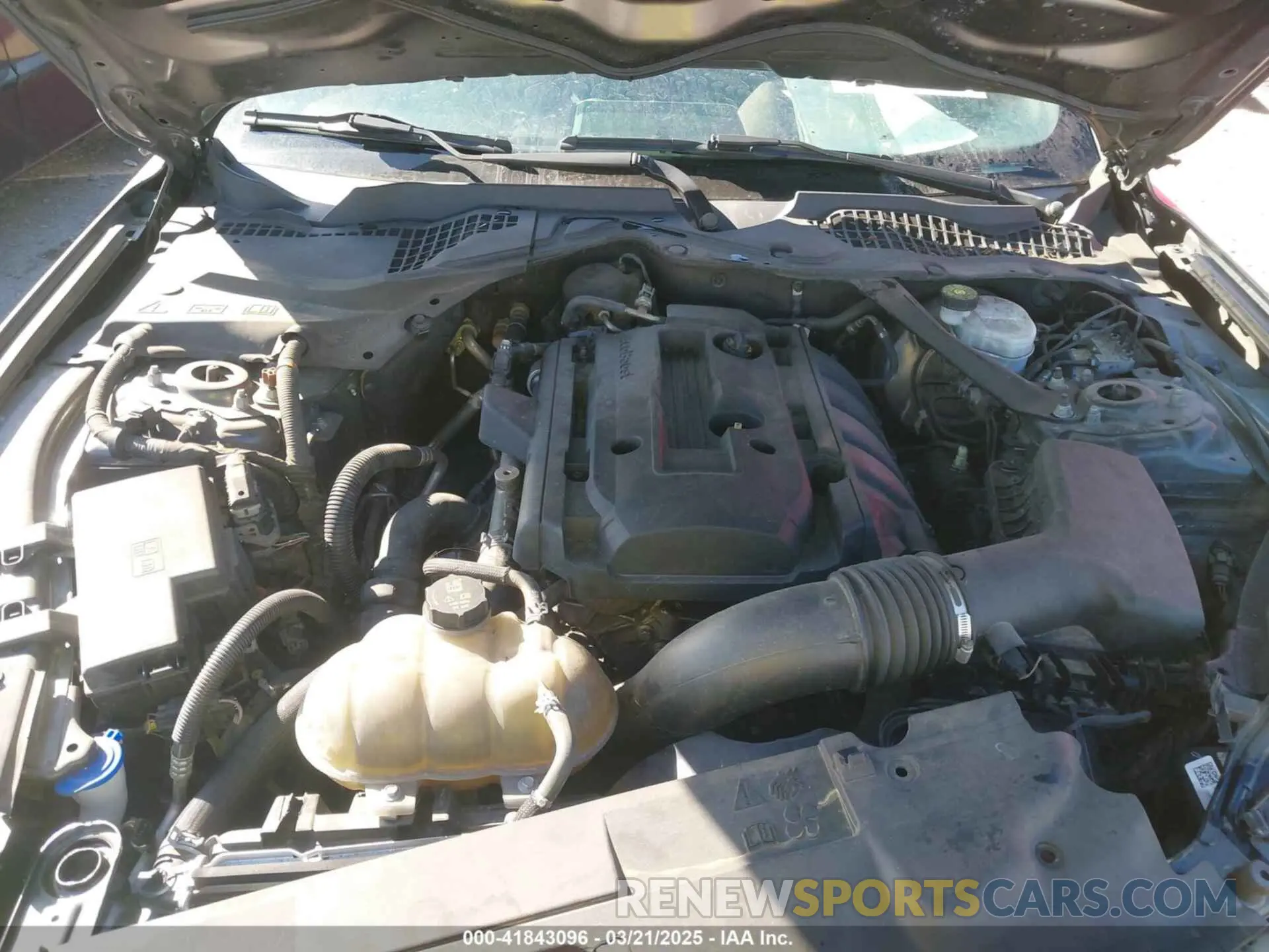 10 Photograph of a damaged car 1FATP8UH8K5151266 FORD MUSTANG 2019