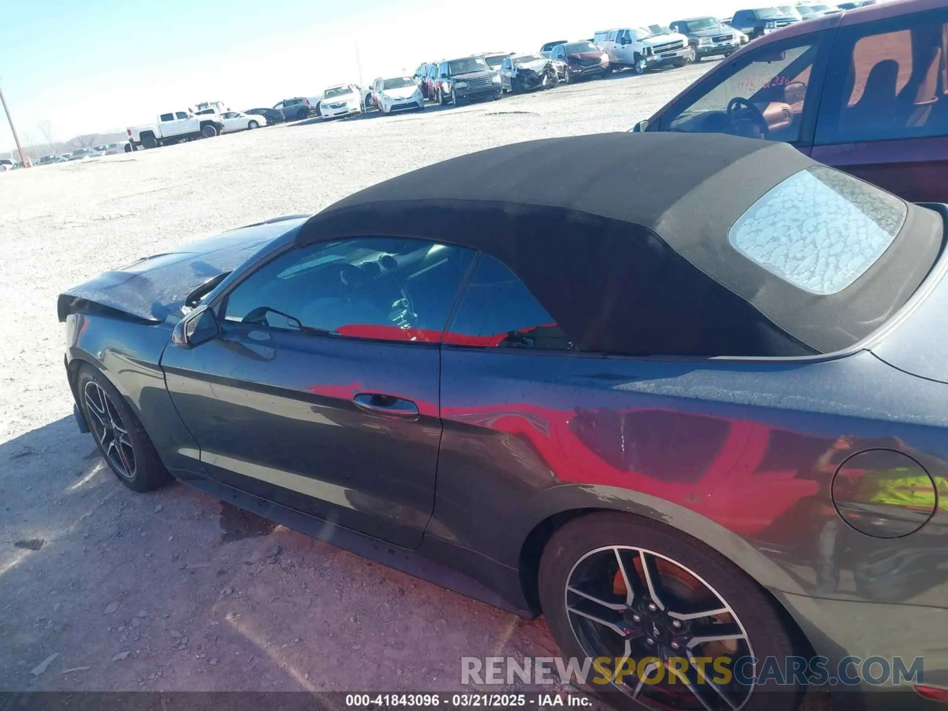 13 Photograph of a damaged car 1FATP8UH8K5151266 FORD MUSTANG 2019
