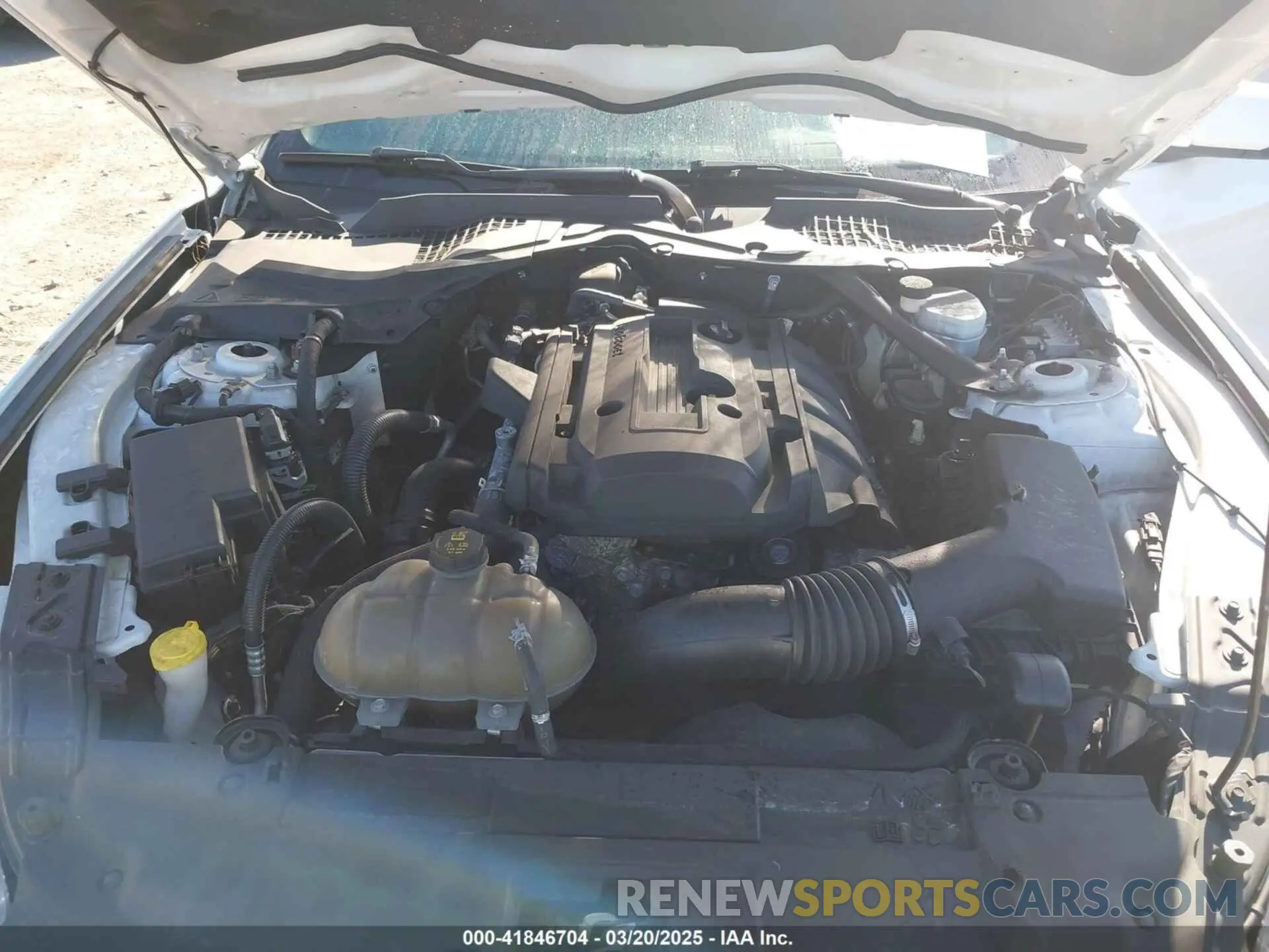 10 Photograph of a damaged car 1FATP8UH8K5162526 FORD MUSTANG 2019