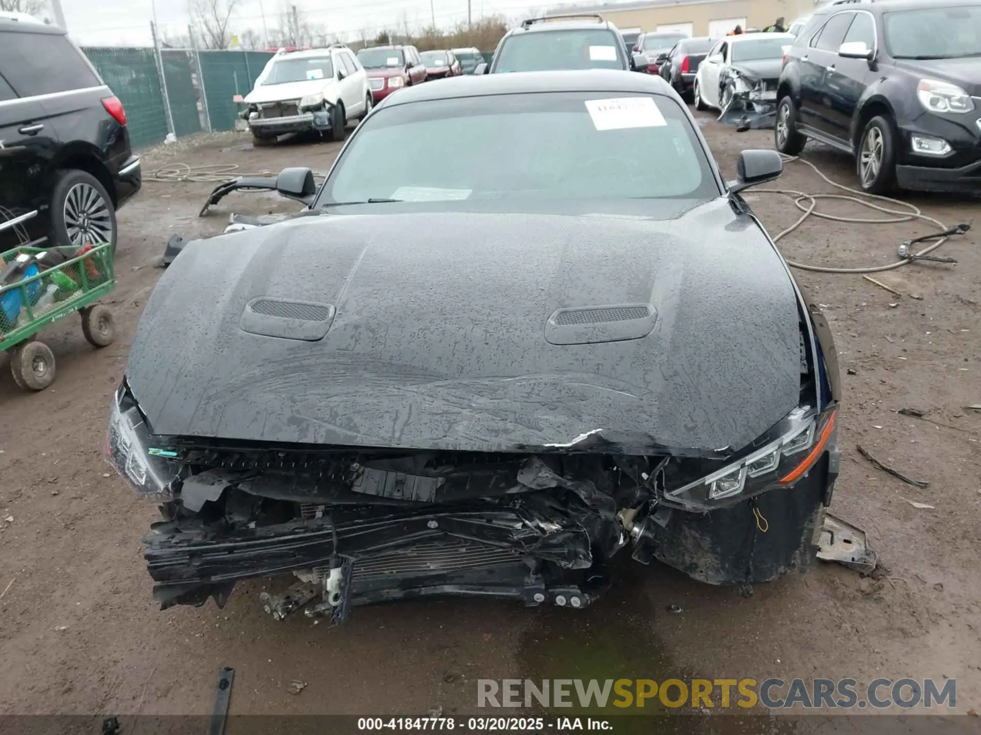 13 Photograph of a damaged car 1FA6P8CF0L5133424 FORD MUSTANG 2020