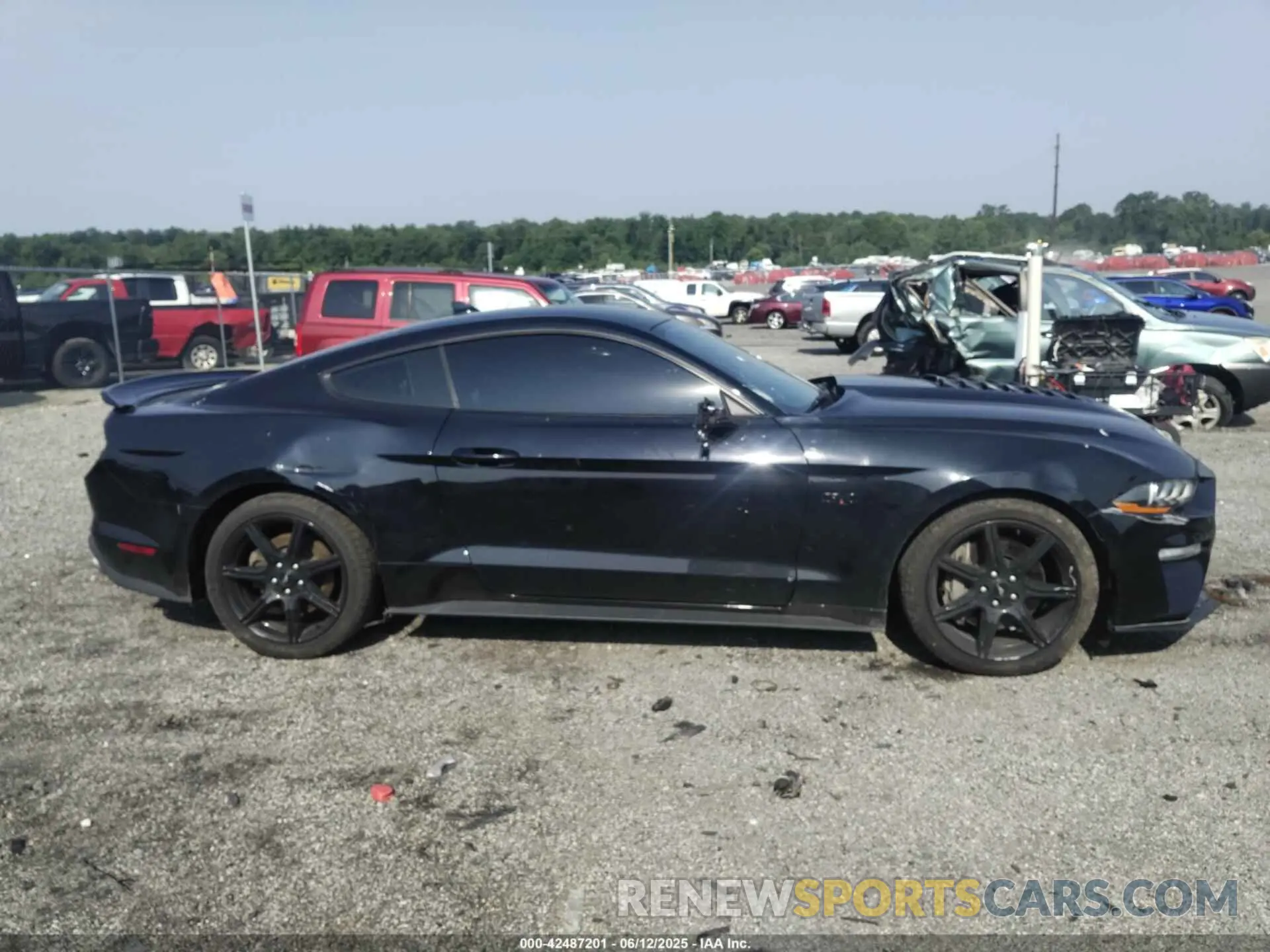 13 Photograph of a damaged car 1FA6P8CF0L5188441 FORD MUSTANG 2020