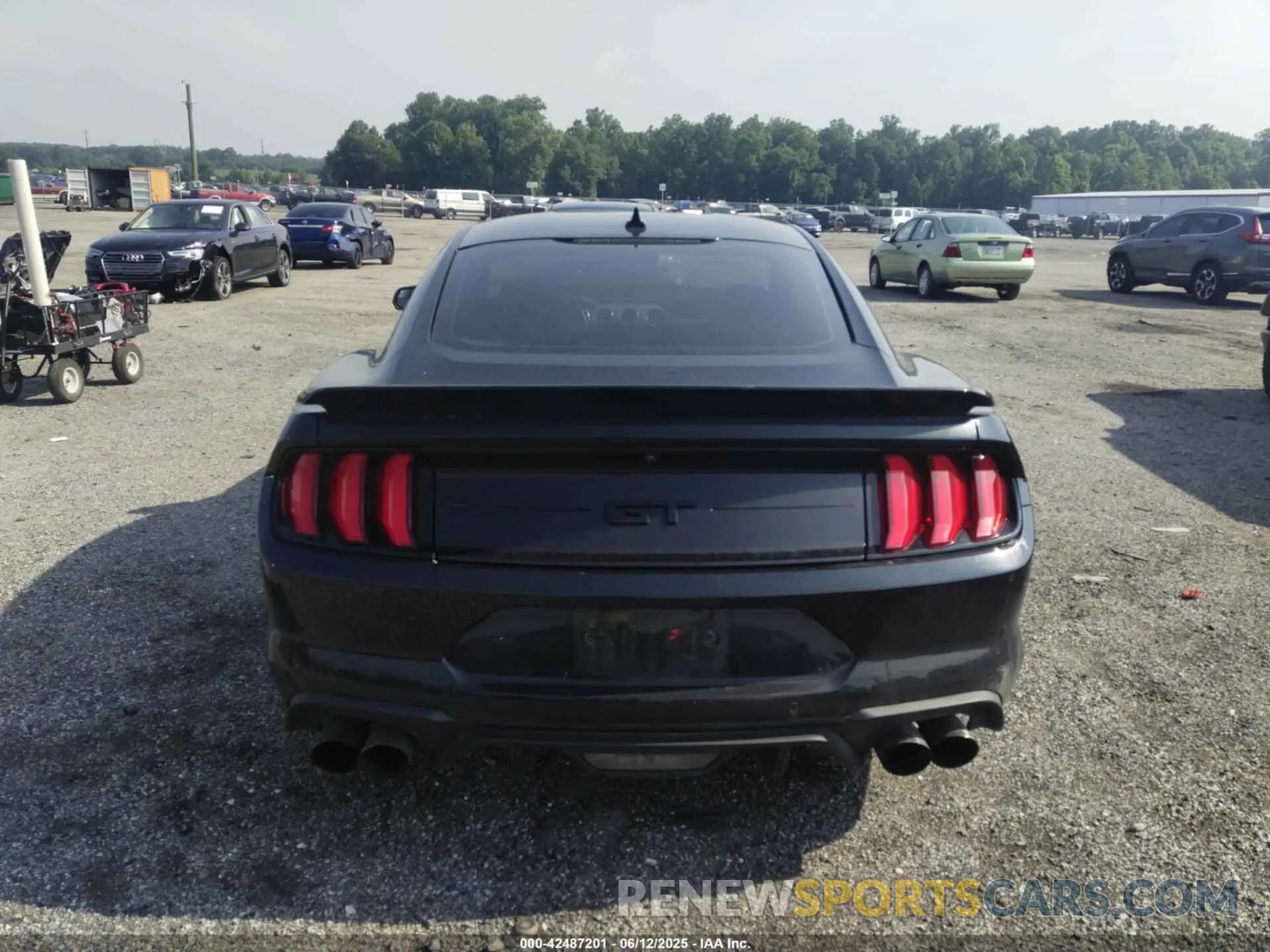 16 Photograph of a damaged car 1FA6P8CF0L5188441 FORD MUSTANG 2020