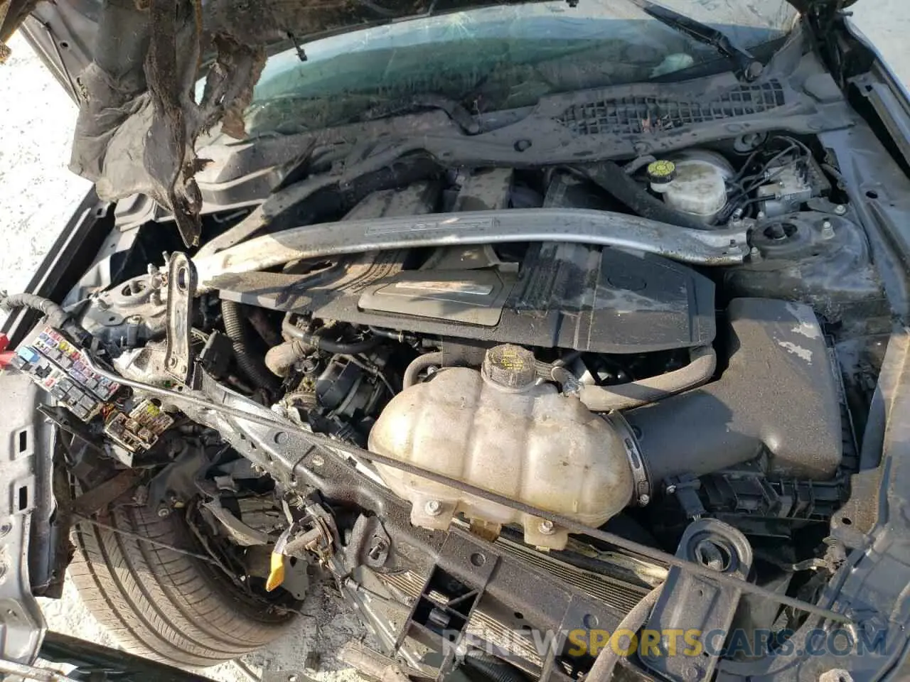 11 Фотография поврежденного автомобиля 1FA6P8CF4L5157581 FORD MUSTANG 2020