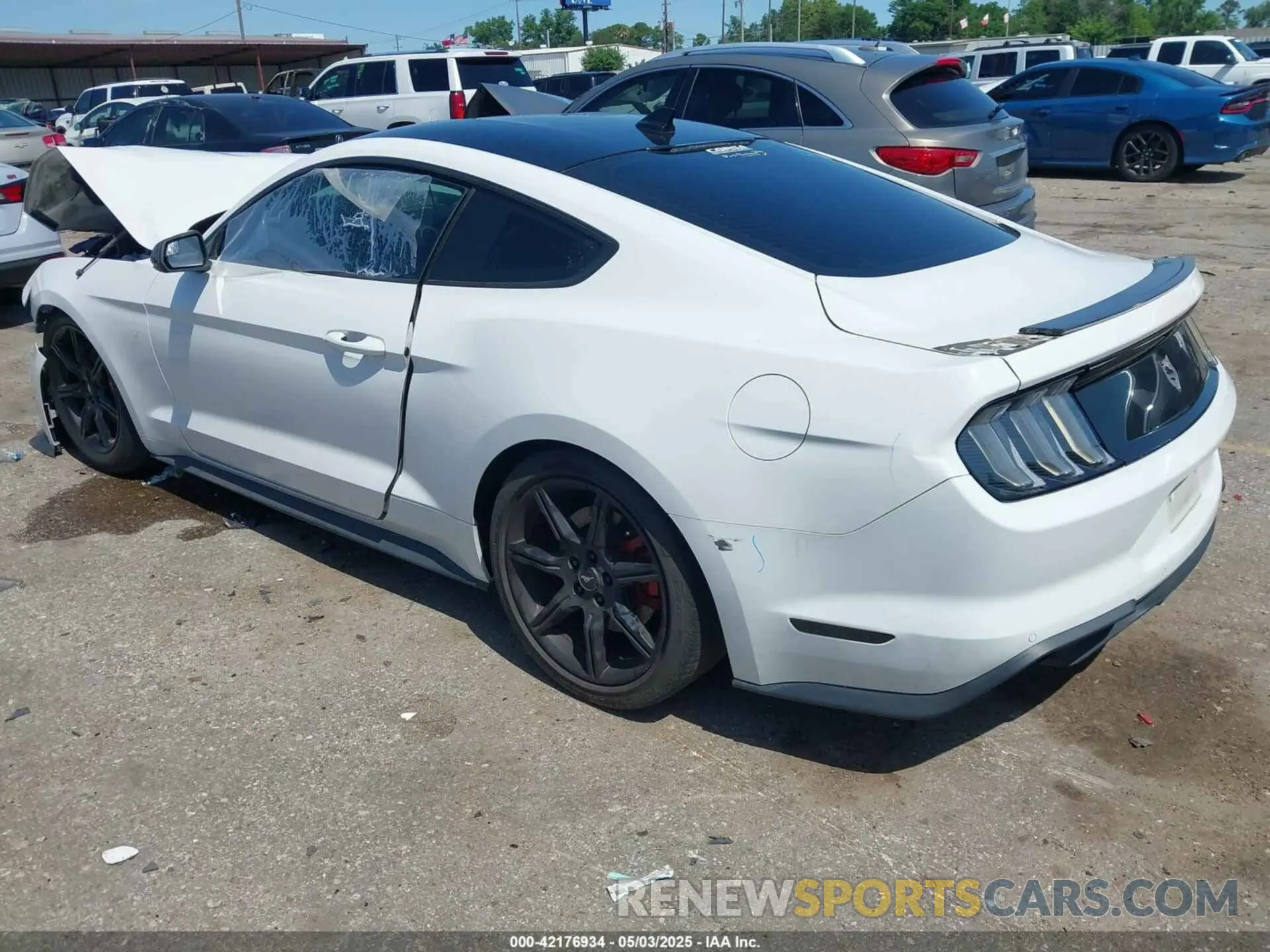 3 Photograph of a damaged car 1FA6P8CF5L5182960 FORD MUSTANG 2020