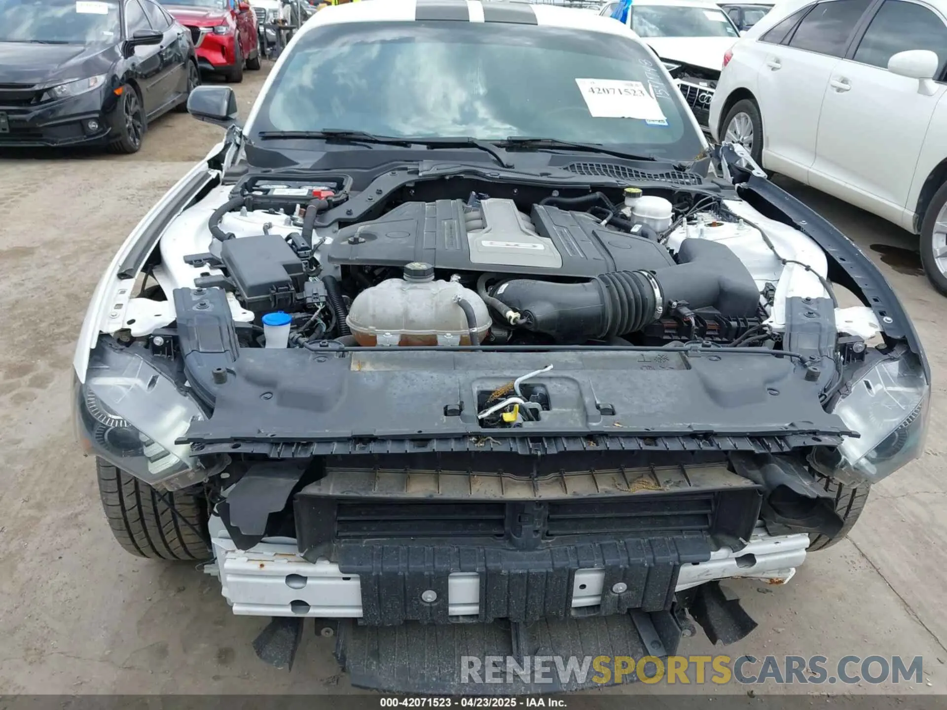 12 Фотография поврежденного автомобиля 1FA6P8CF7L5157798 FORD MUSTANG 2020