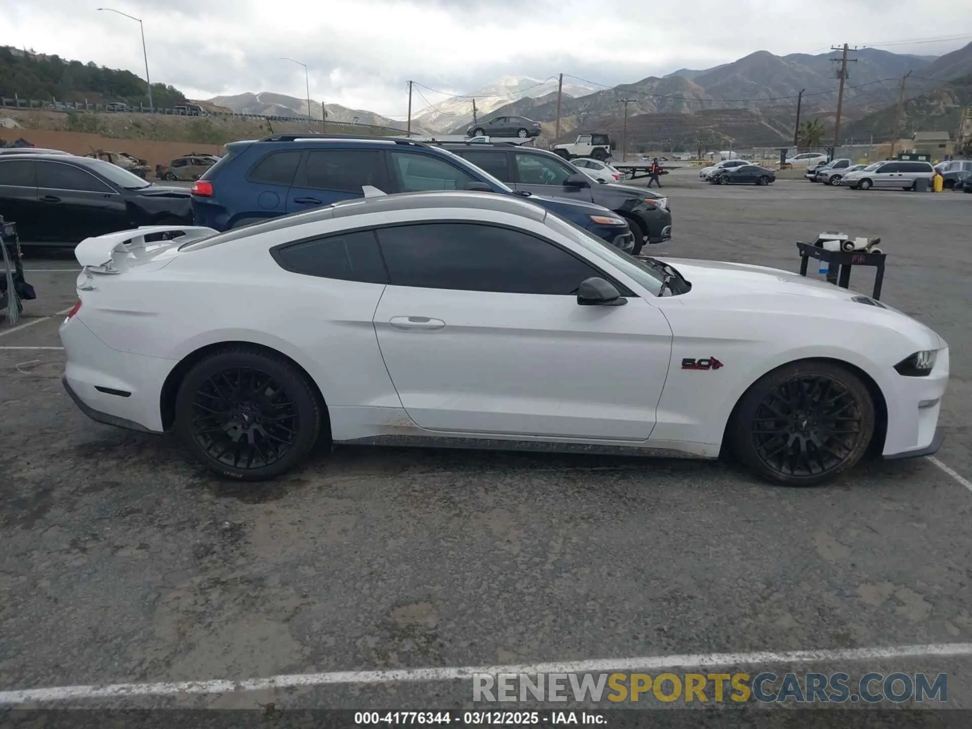 13 Photograph of a damaged car 1FA6P8CF7L5181745 FORD MUSTANG 2020