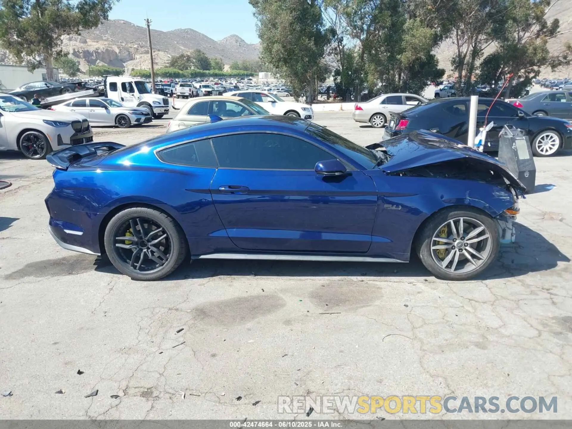 13 Photograph of a damaged car 1FA6P8CF7L5189263 FORD MUSTANG 2020