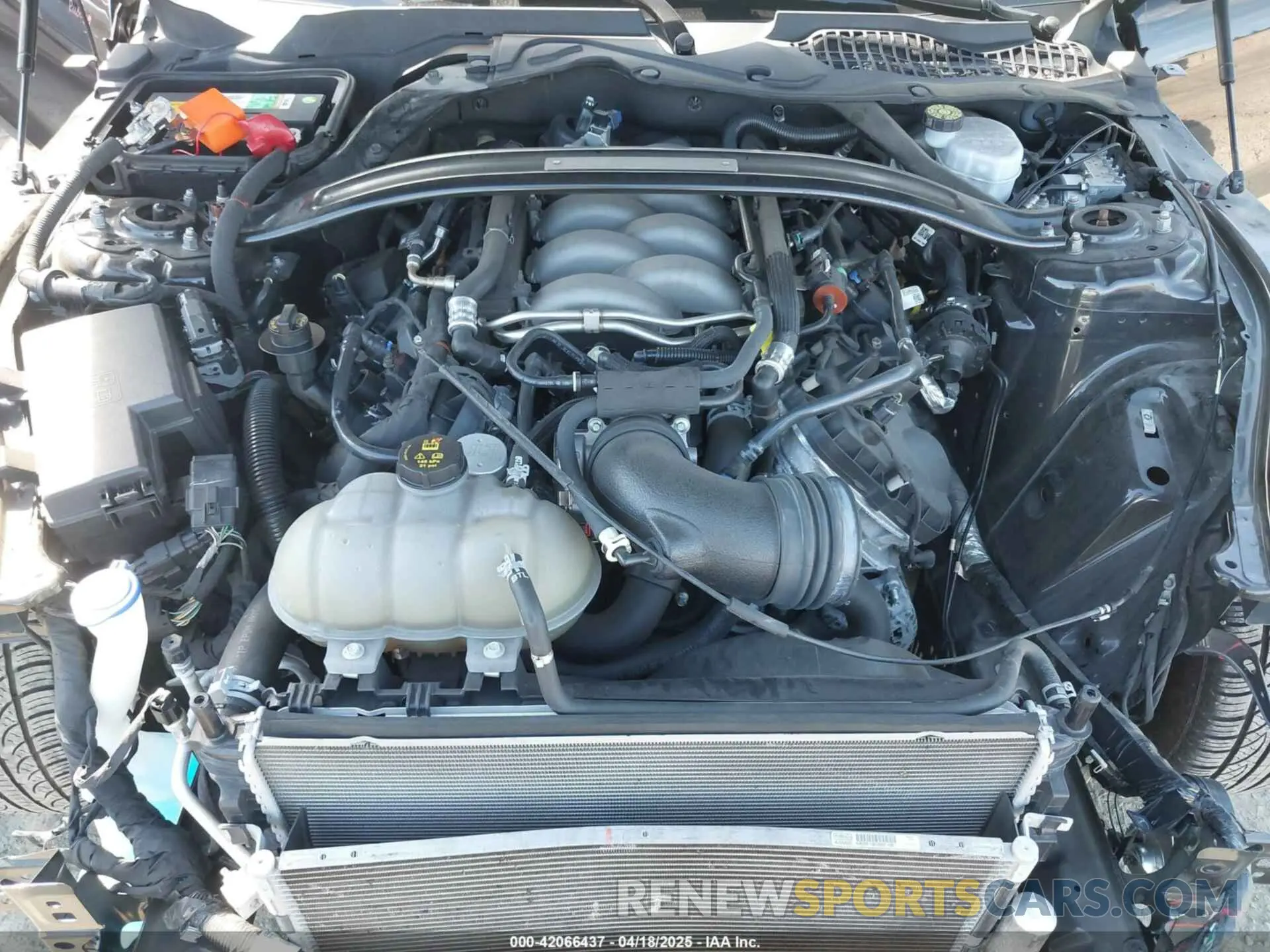 10 Фотография поврежденного автомобиля 1FA6P8CF9L5163585 FORD MUSTANG 2020