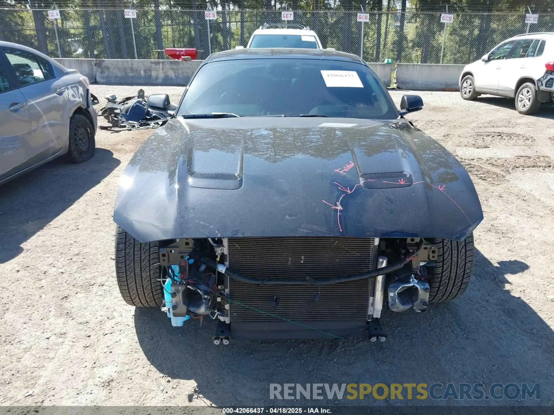 13 Фотография поврежденного автомобиля 1FA6P8CF9L5163585 FORD MUSTANG 2020