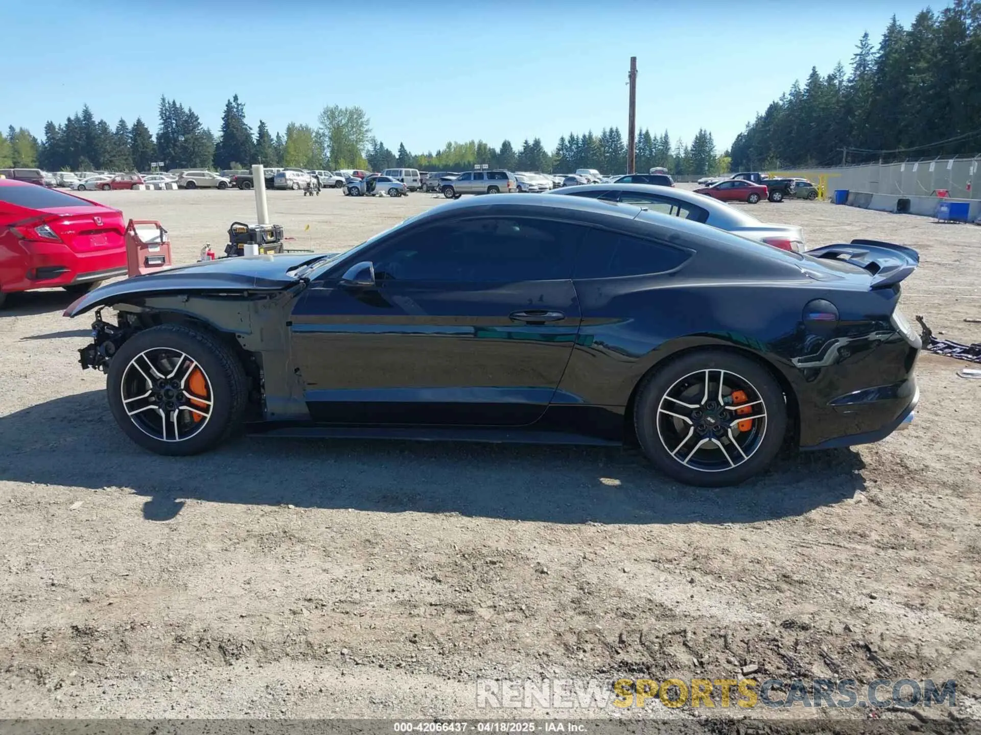 15 Фотография поврежденного автомобиля 1FA6P8CF9L5163585 FORD MUSTANG 2020